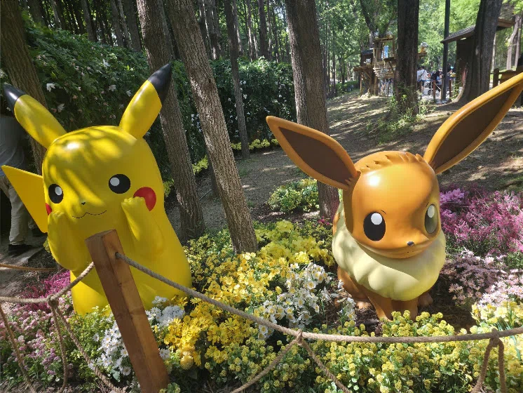 ソウルの森「ポケモン シークレット フォレスト」でポケモン探索の冒険