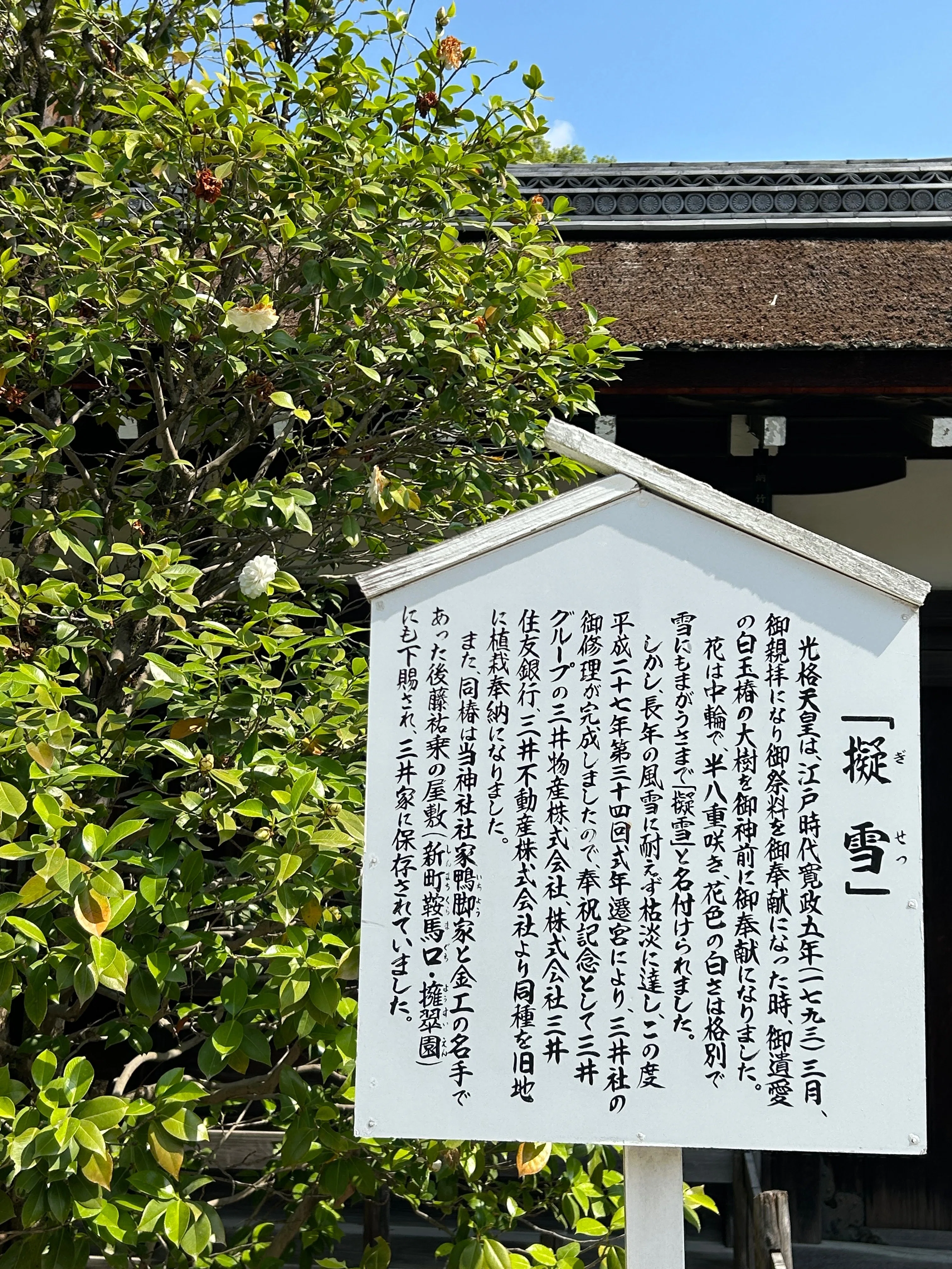 2026年5月16日 賀茂御祖神社｜ぺぇたぁ