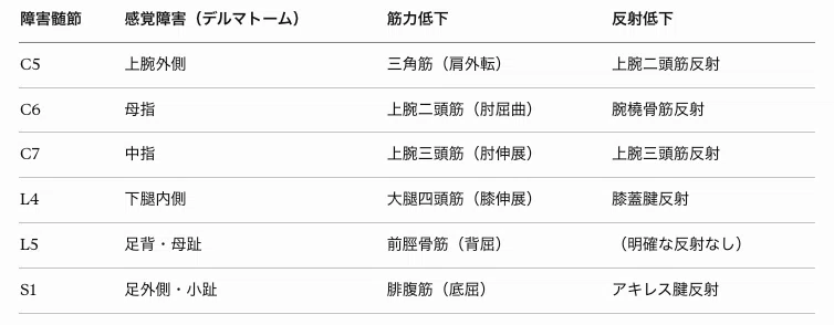 障害髄節とデルマトーム
