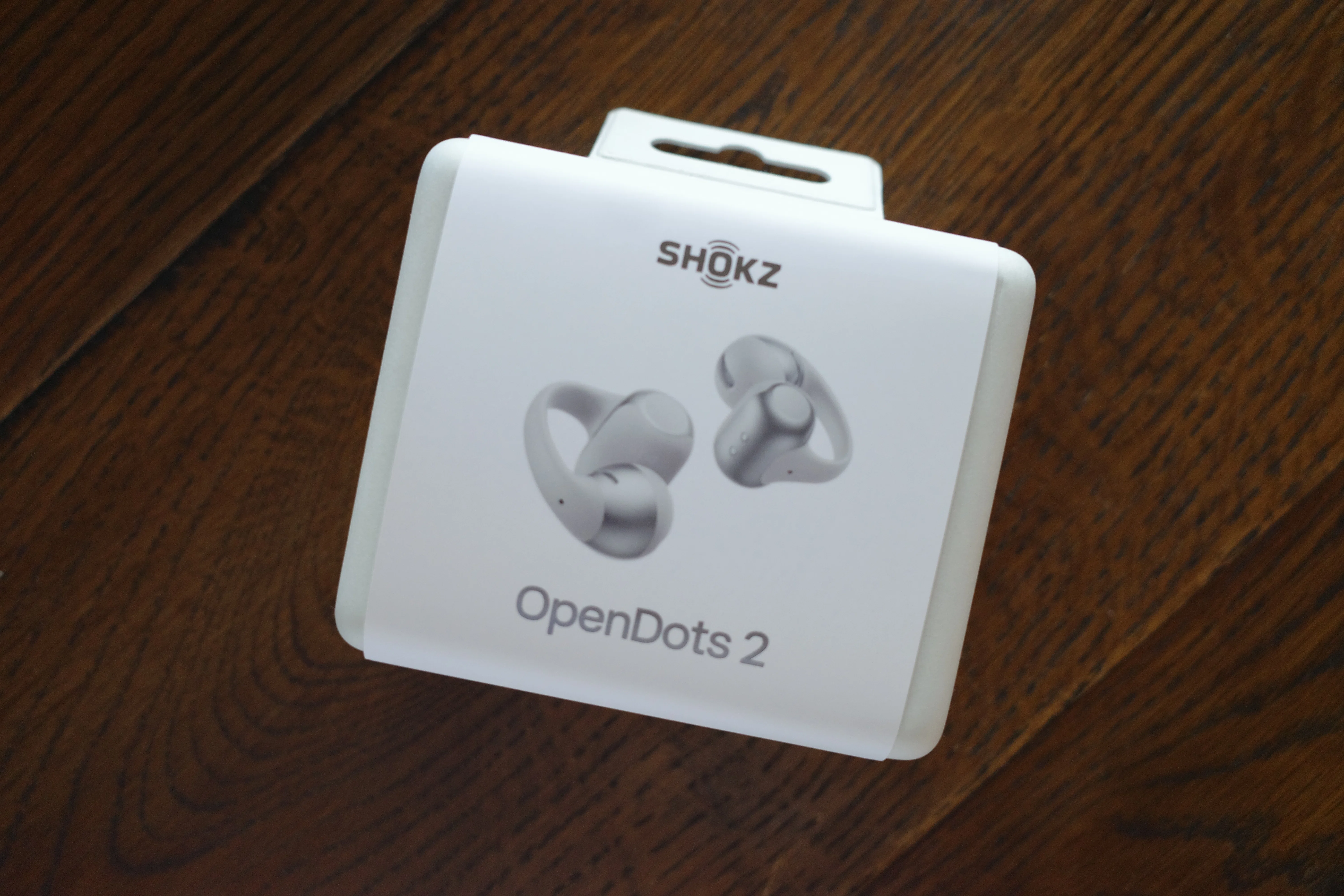 生活とアクセサリーに馴染むイヤホン 【Shokz OpenDots 2／OpenDots