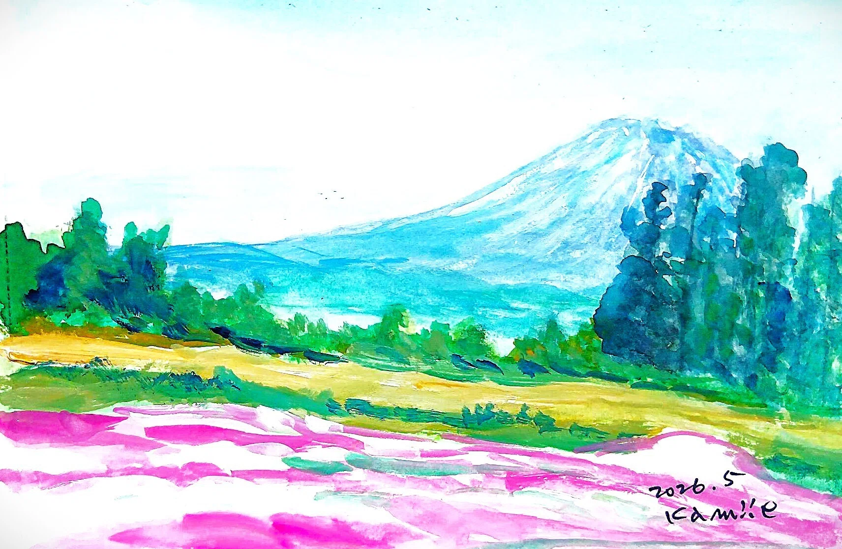 水彩画(測候所〈倶知安〉)№34 三島さんちの芝ざくら(倶知安町)｜北海道の熊おやじ〜北海道の179