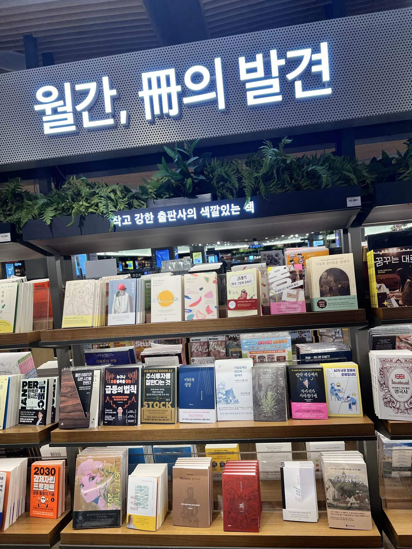 ソウルの本屋さんで見つけた、日本の小説たち｜僕の読書感想文