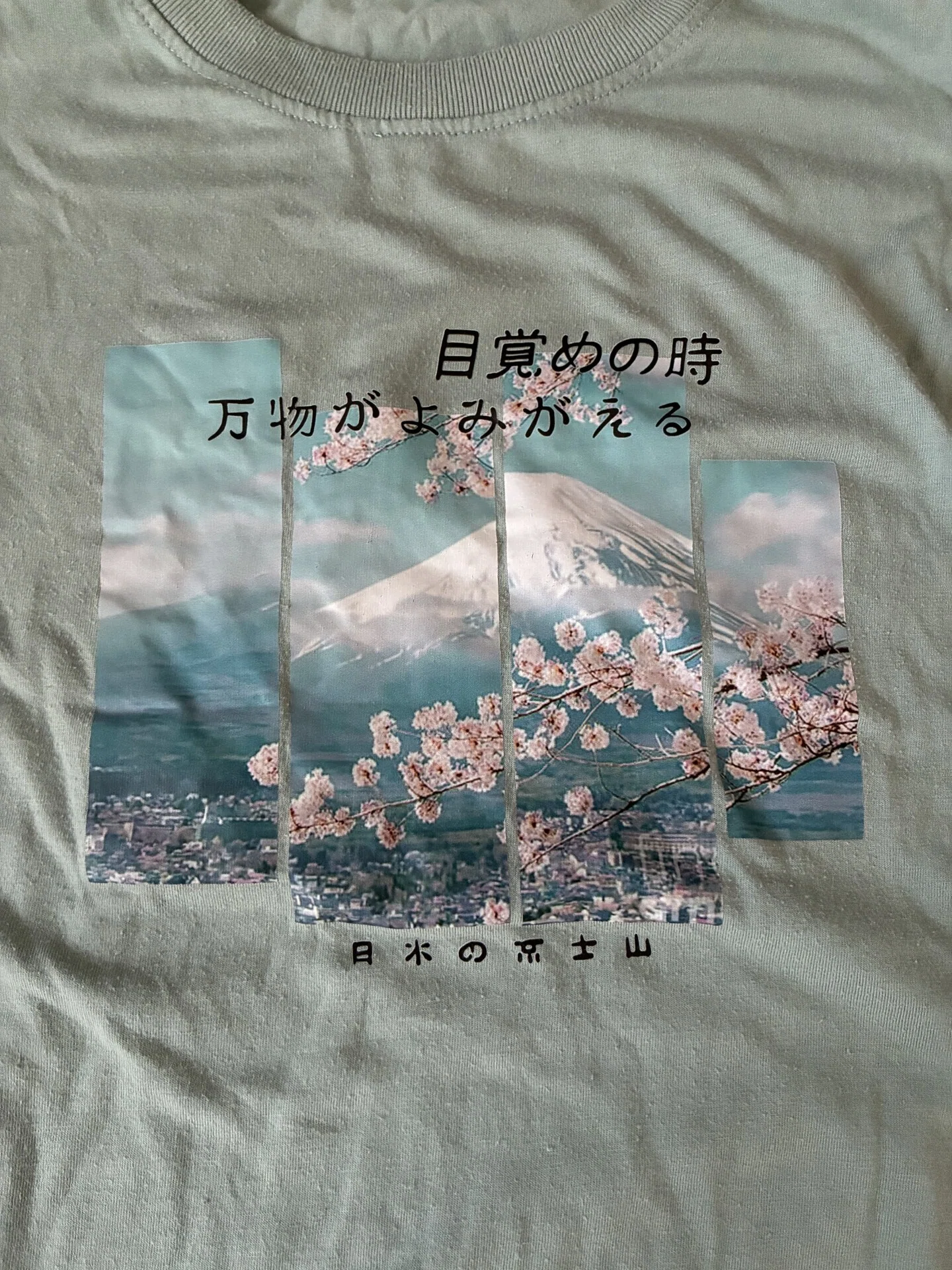 いまから Tシャツの断捨離するので つきあって！｜オオタカ