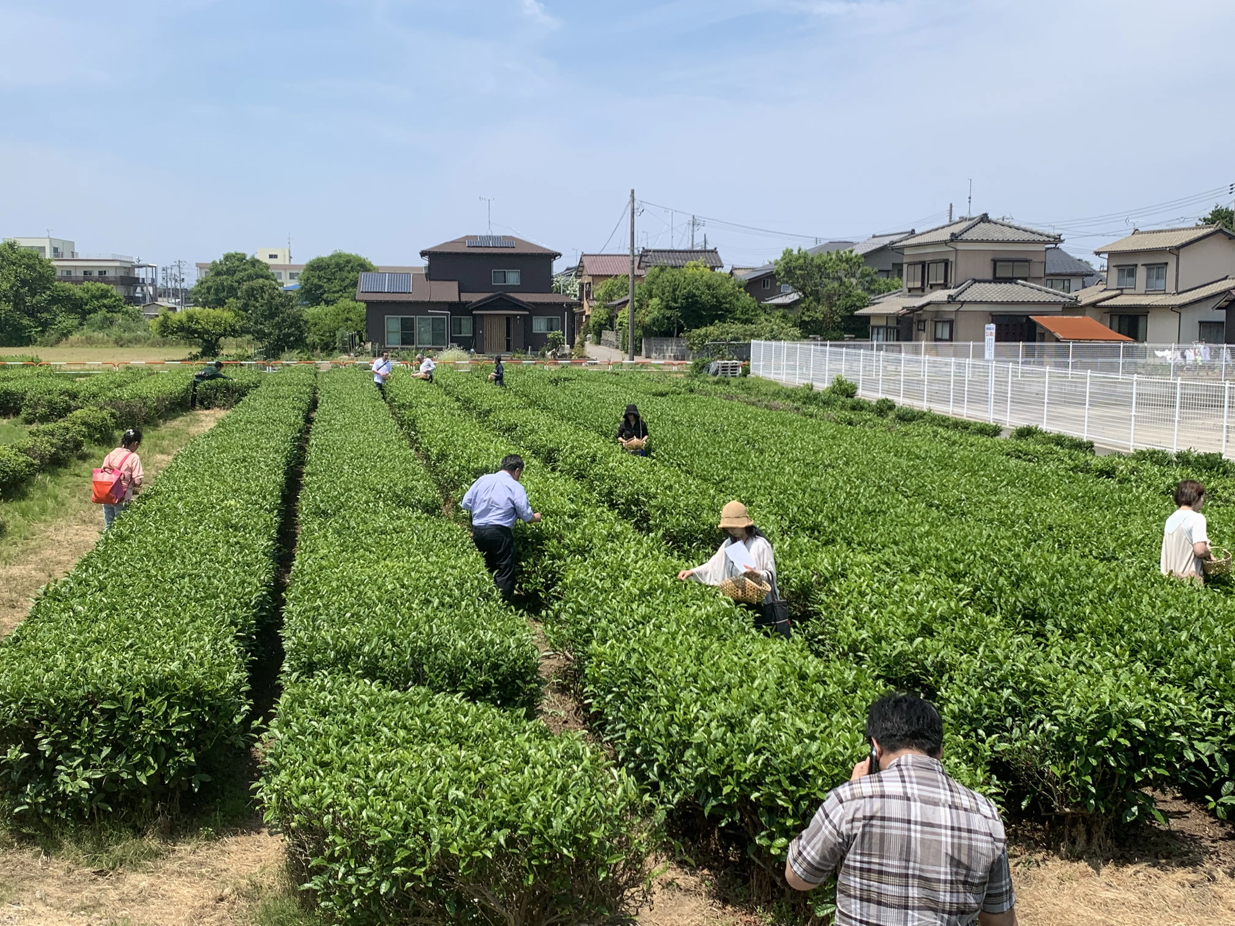 千年の鮭、400年の茶、城下町の町並み。なぜ、村上は美食のまちとして