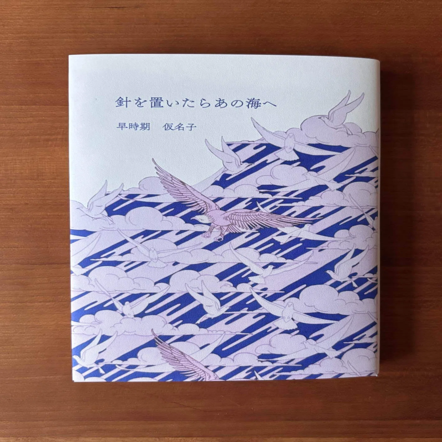 ZINEフェス鹿児島に向けて作ったZINEと同人誌の装丁のはなし｜早時期 