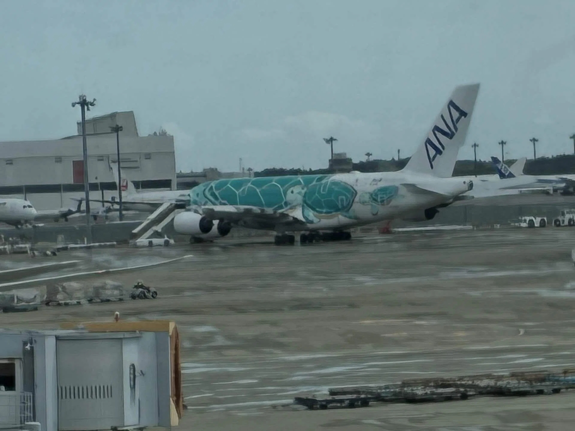 成田空港 訪問記（2026年5月）｜こまき