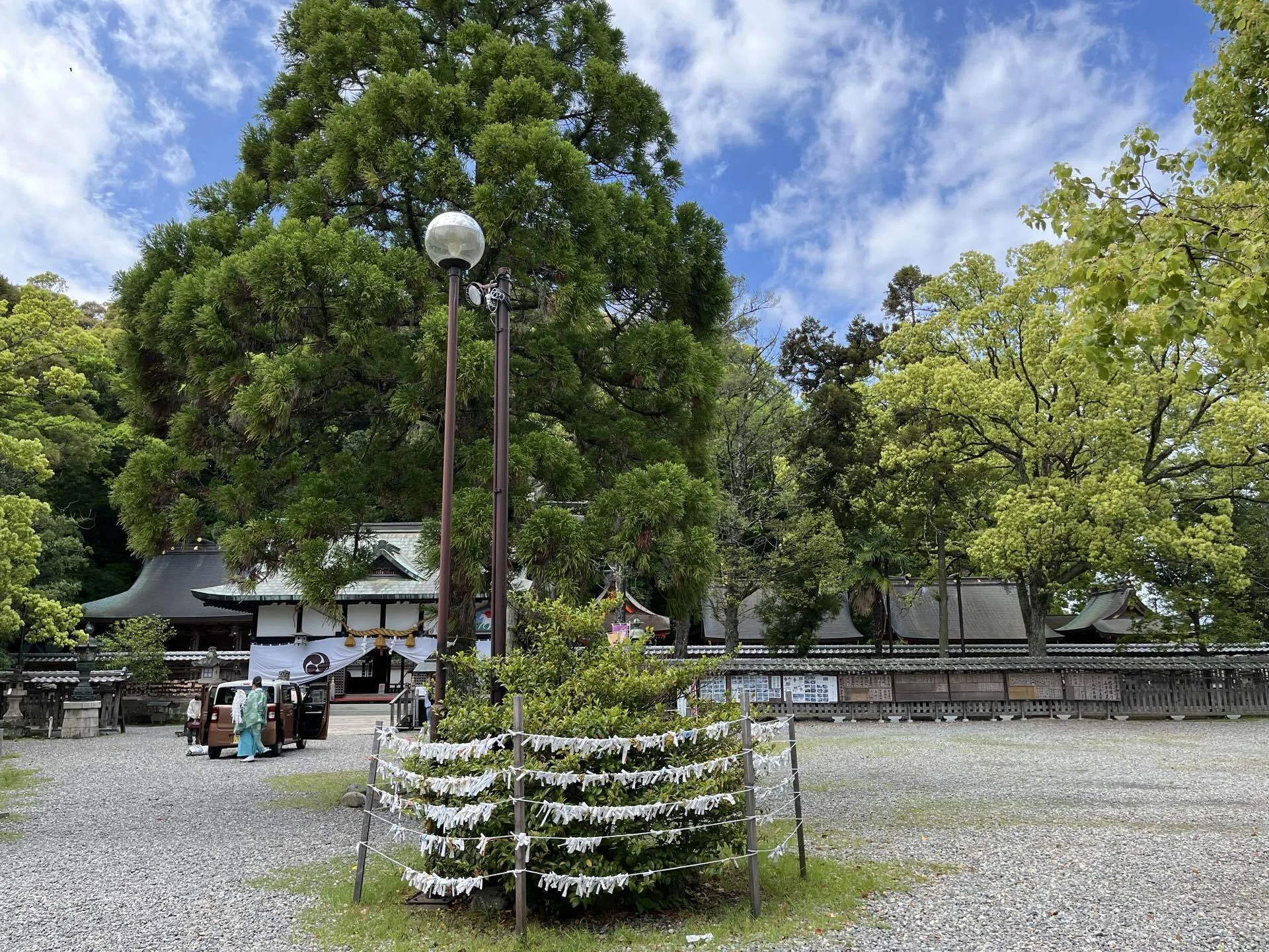 闘鶏神社で勝守（熊野への道⑧）｜李李蘭