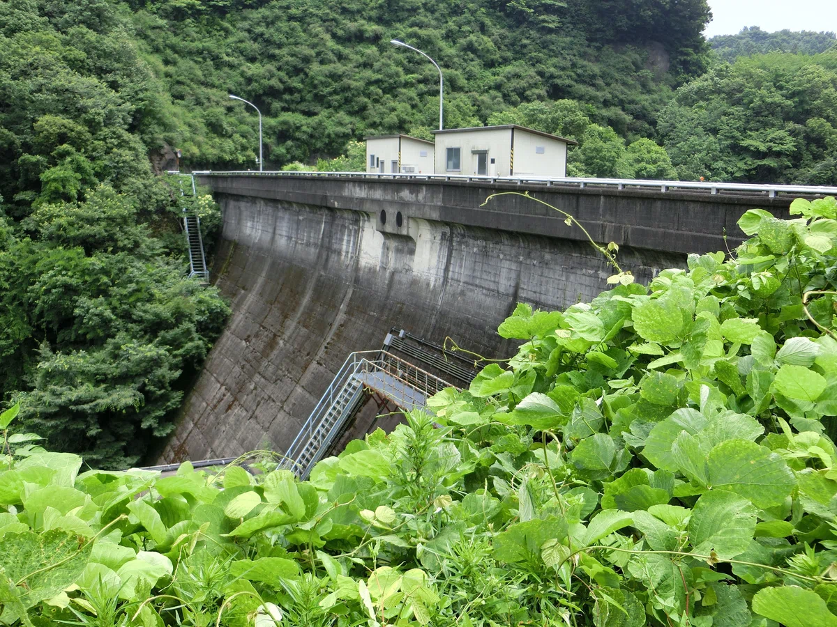 茨城県 藤井川ダム 左岸側 本堤