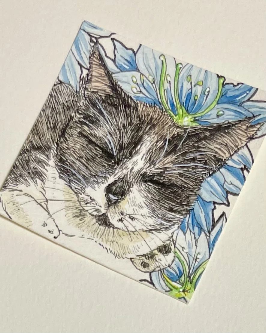 5/29の誕生花_Today's birth flower｜猫灯夜譚