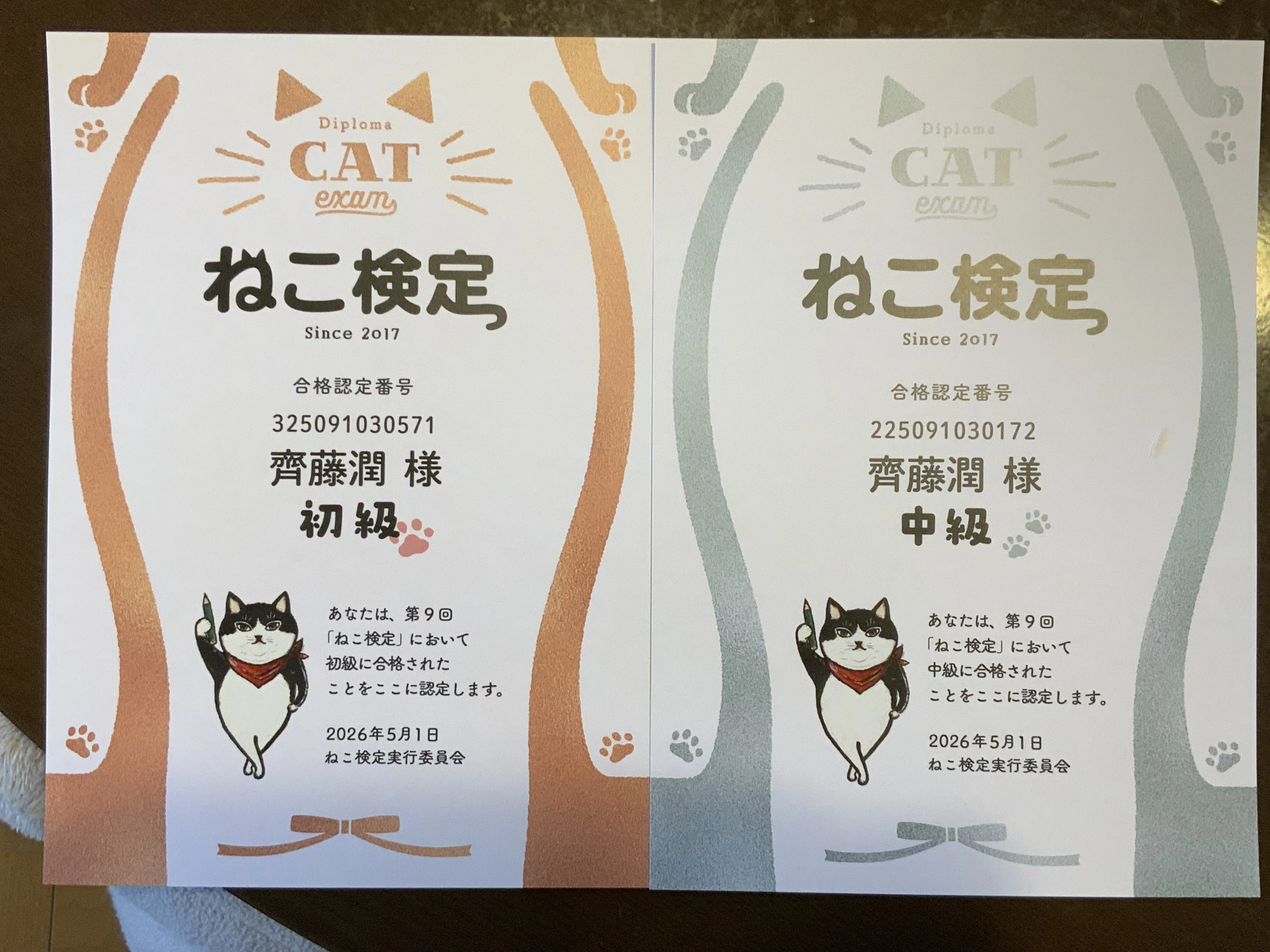 ご報告】ねこ検定、初級・中級ダブル合格！〜noteで見つけた猫愛と