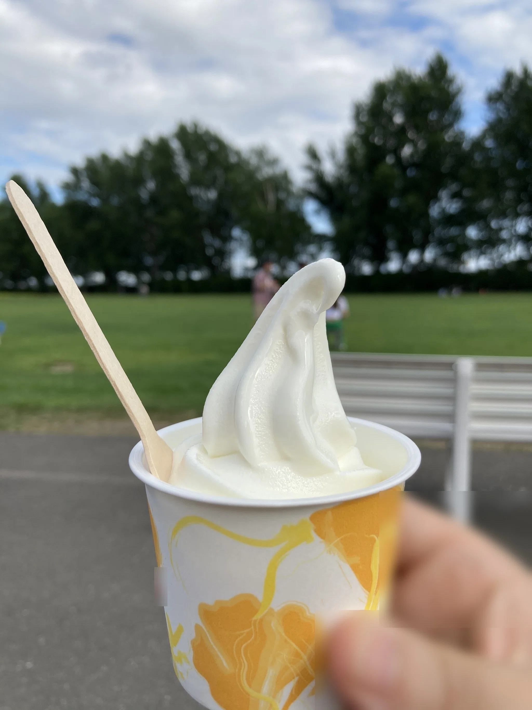 美味しいソフトクリームは「牛乳系」と「生クリーム系」ですね｜DSS