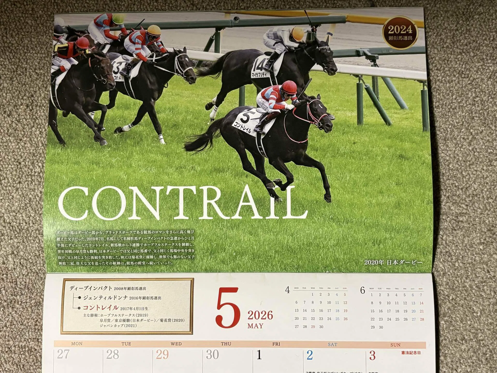 ダービー : オークスからのサイン｜ガラスの脚 サイン競馬予想