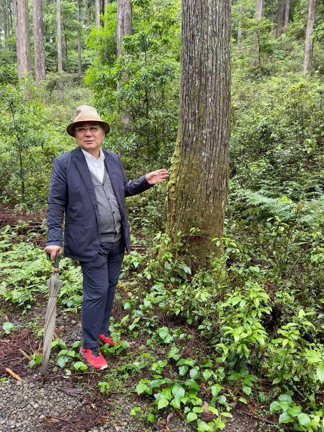 美しい森は、経営の結果だった｜足立 直樹（adanao）＠最初のひとしずく