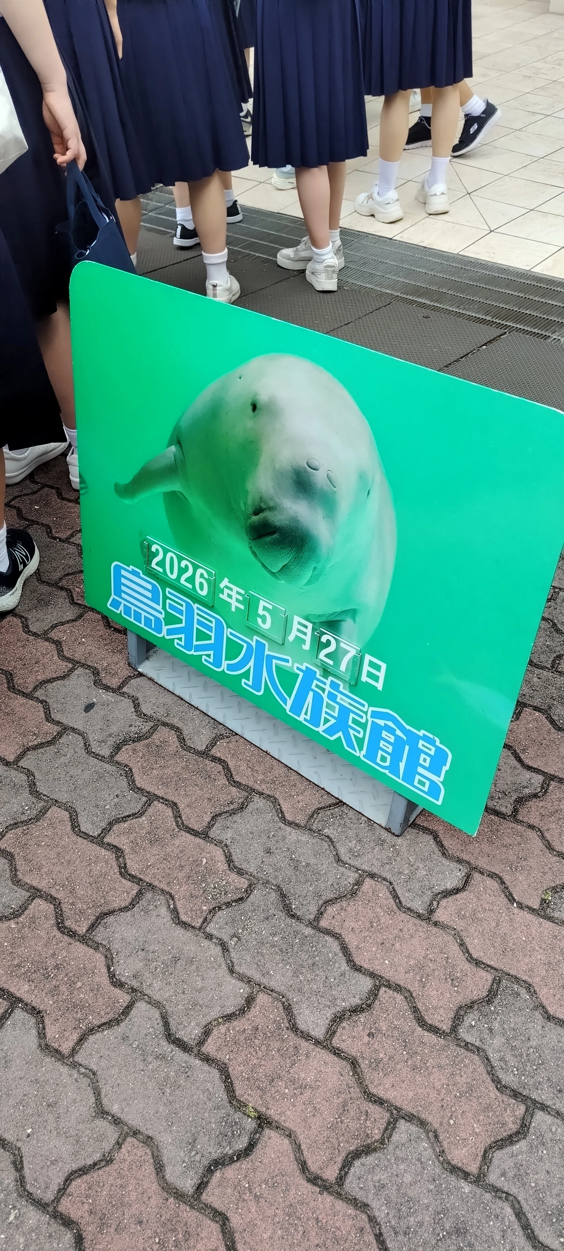 鳥羽水族館（女一人旅 三重編その⑤）｜真咲ともか