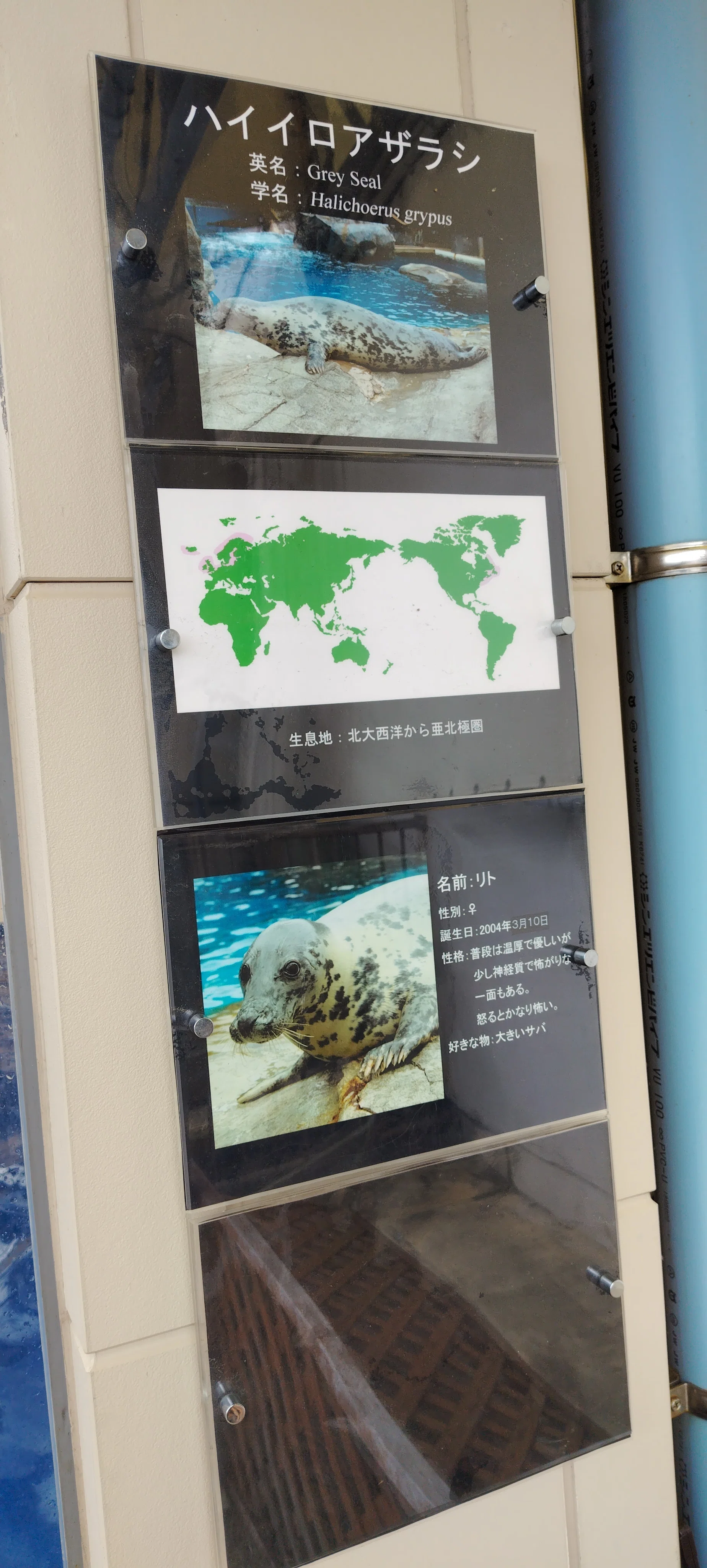鳥羽水族館（女一人旅 三重編その⑤）｜真咲ともか