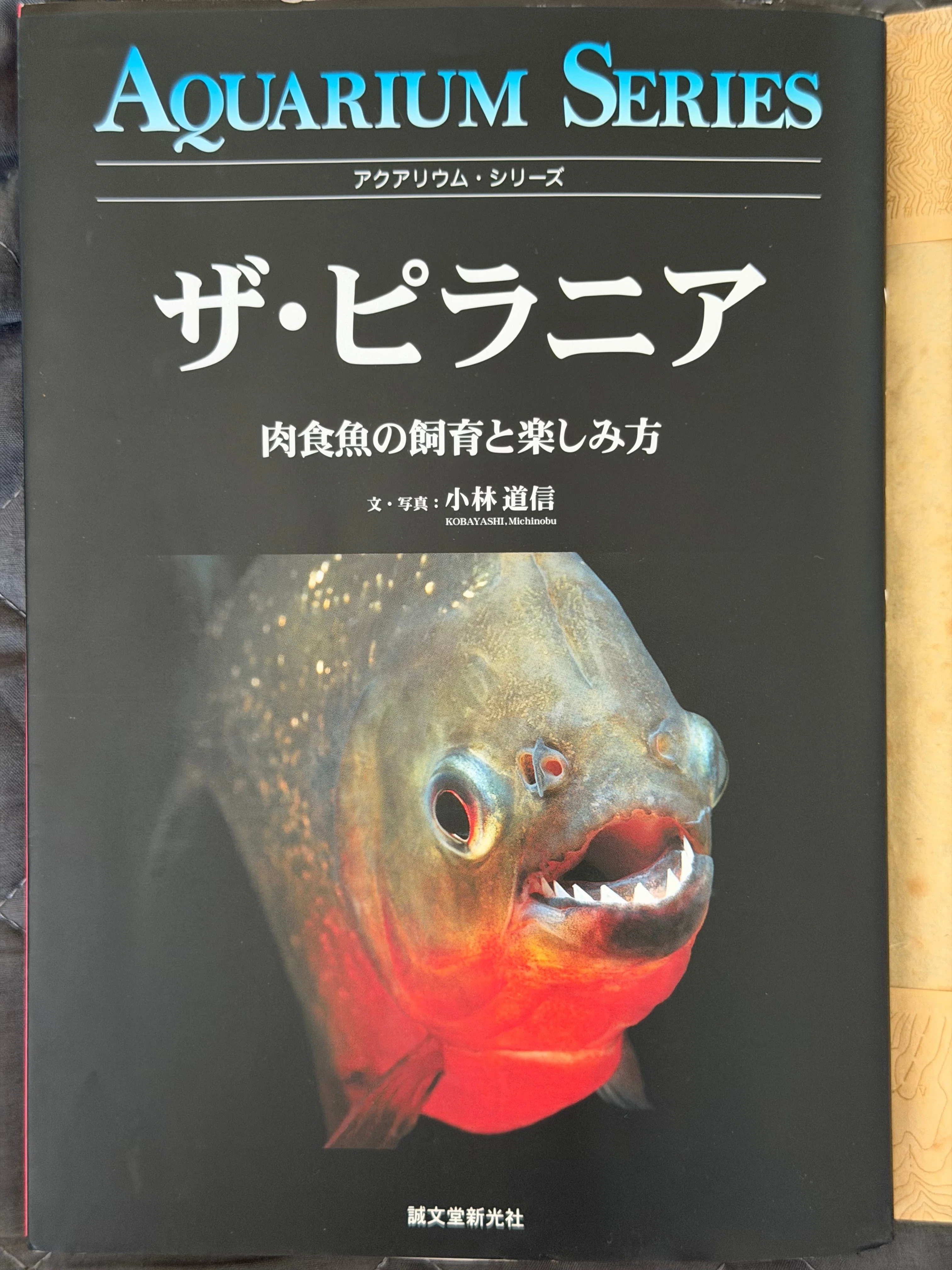 Serrasalmus manueli ピラニア・マヌエリの呼称について｜sato