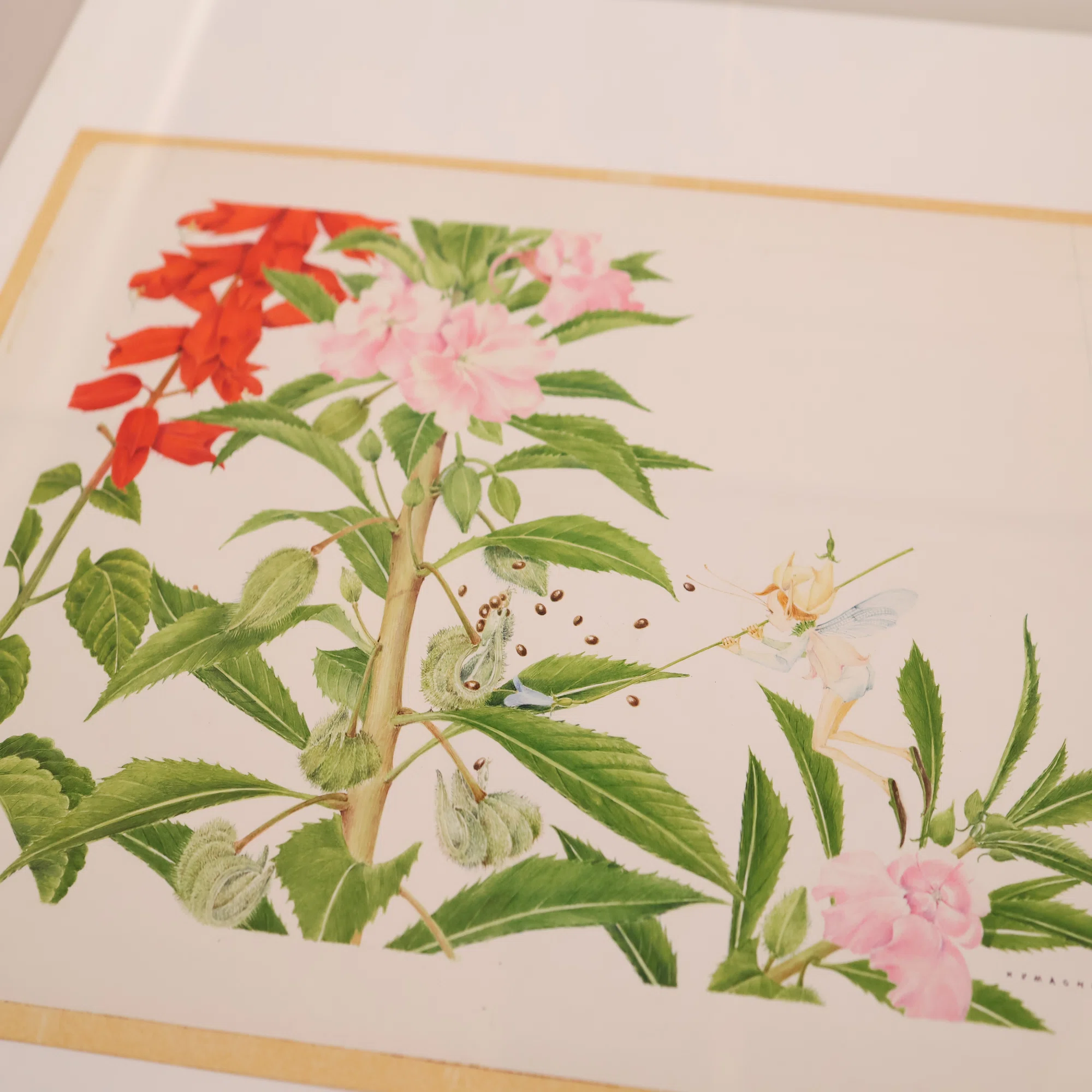 熊田千佳慕の世界｜群馬県立館林美術館｜エト