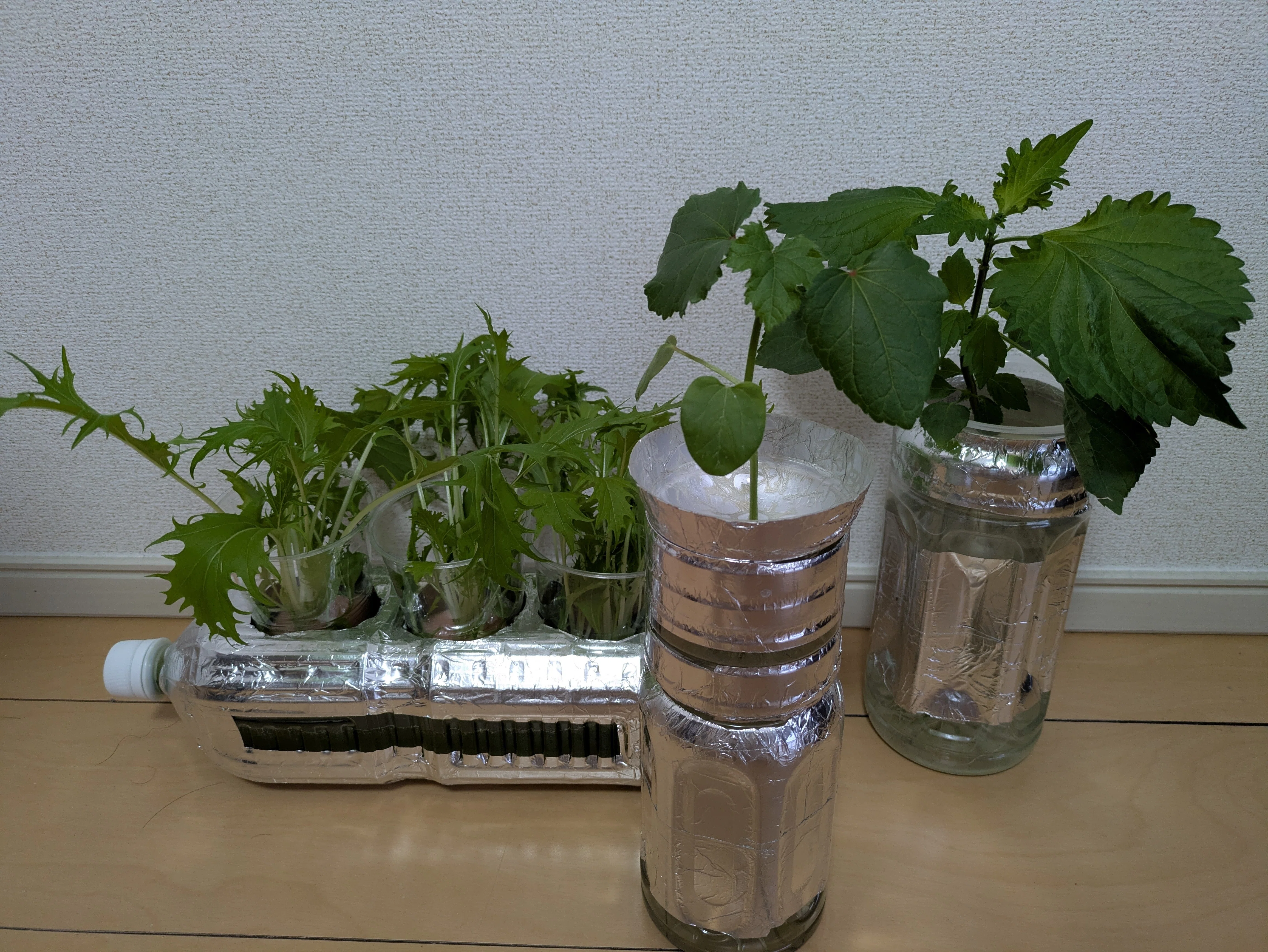 今年も小さな野菜を育てています｜こぶたさん｜泣きながら働いていた