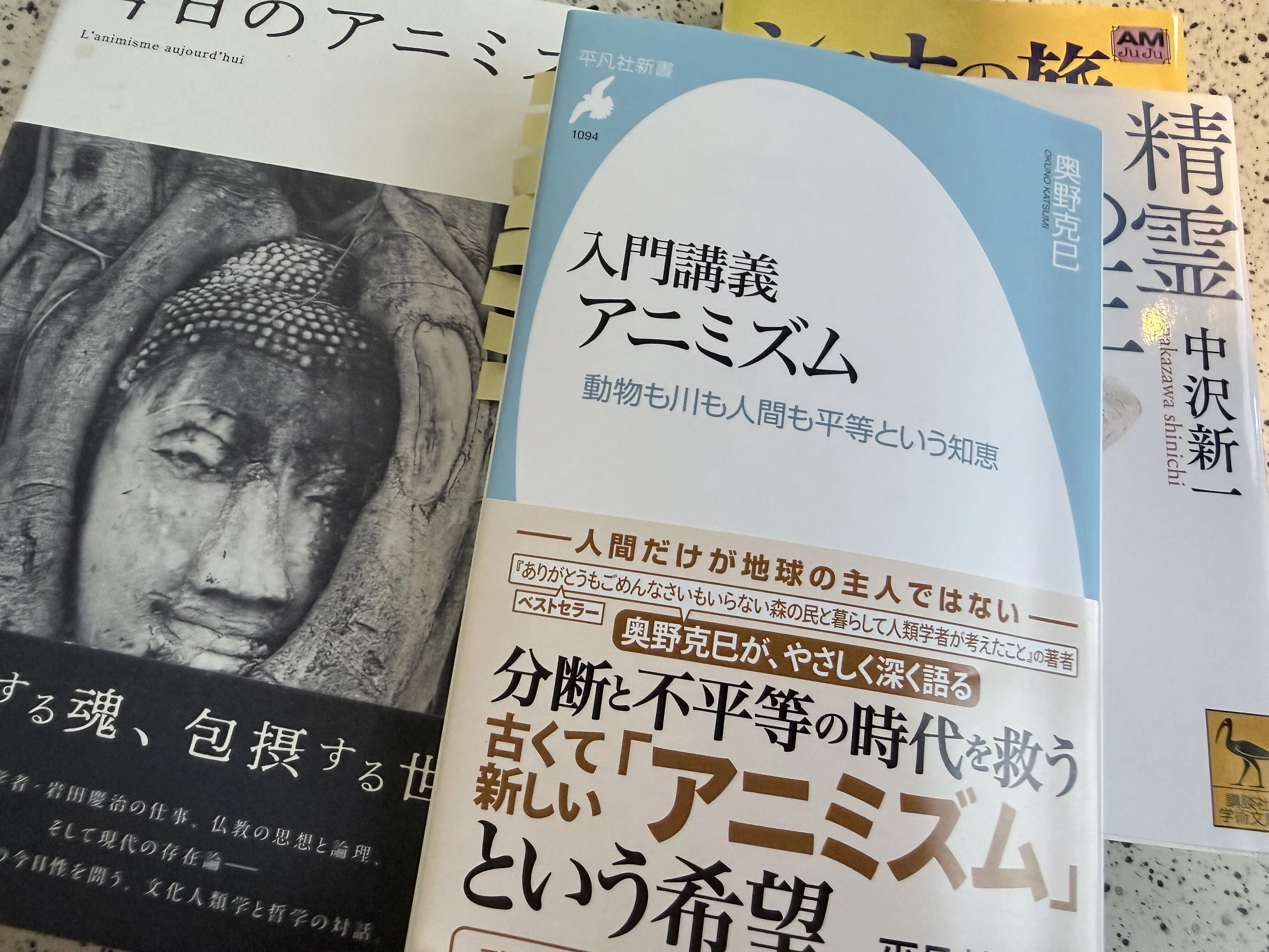 改めて文化人類学はおもしろい-奥野克巳著『入門講義 アニミズム』を
