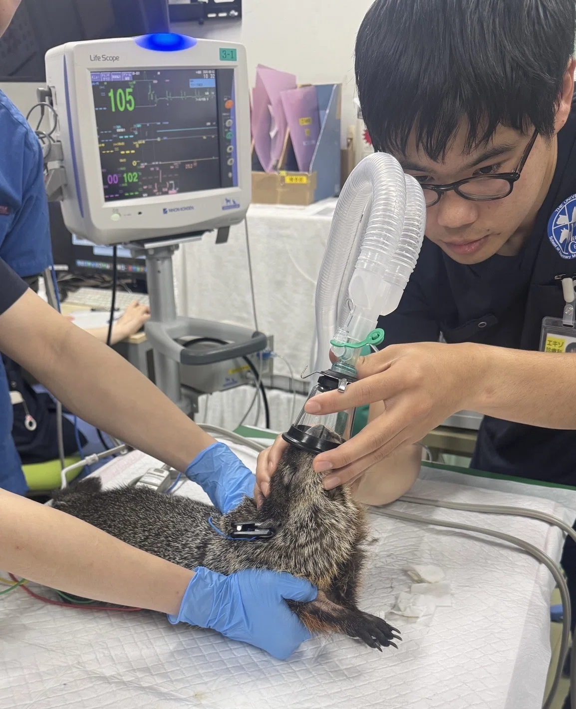 園館と大学の連携で広がる、動物園・水族館動物臨床の可能性【会員活動