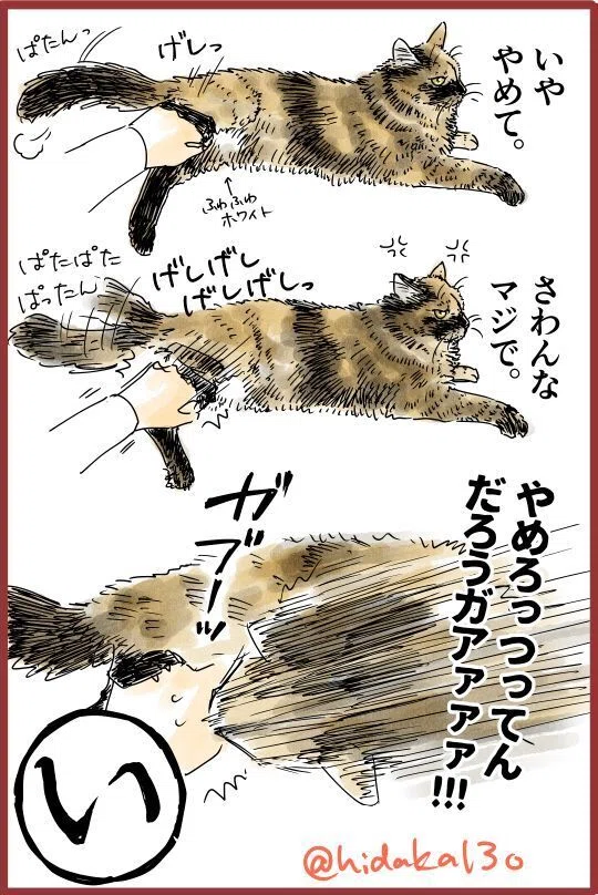サビ猫堂（プロフ必読でお願いします） サビ猫お嬢様の下僕あいうえお作文｜日高十三男