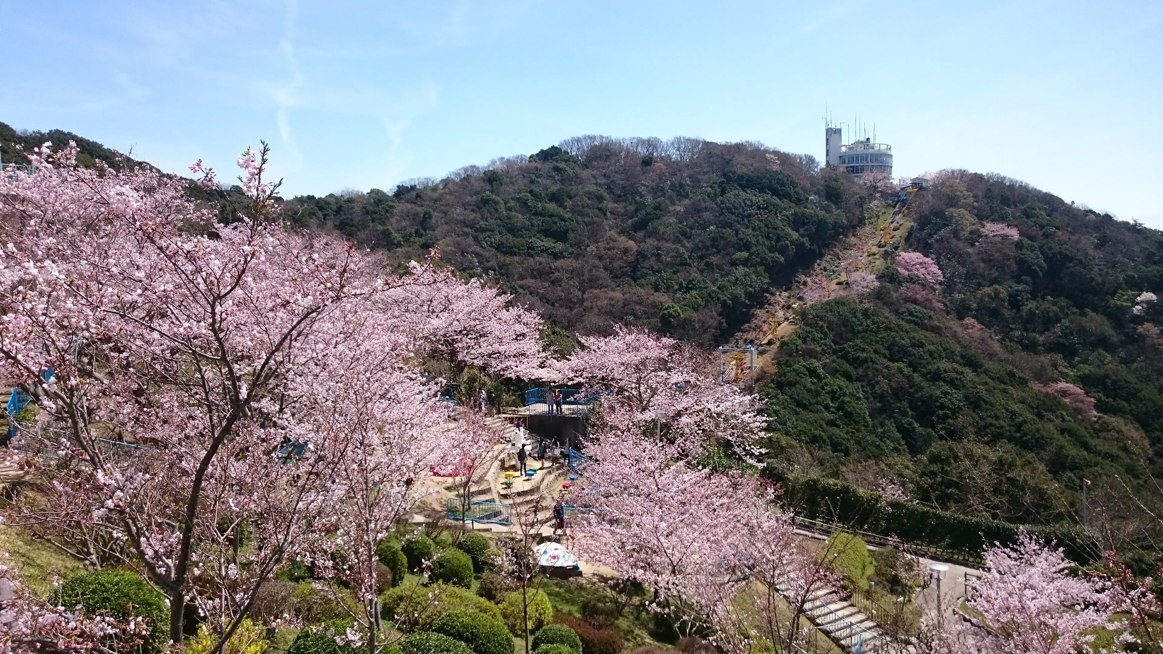 須磨浦公園｜たまころ