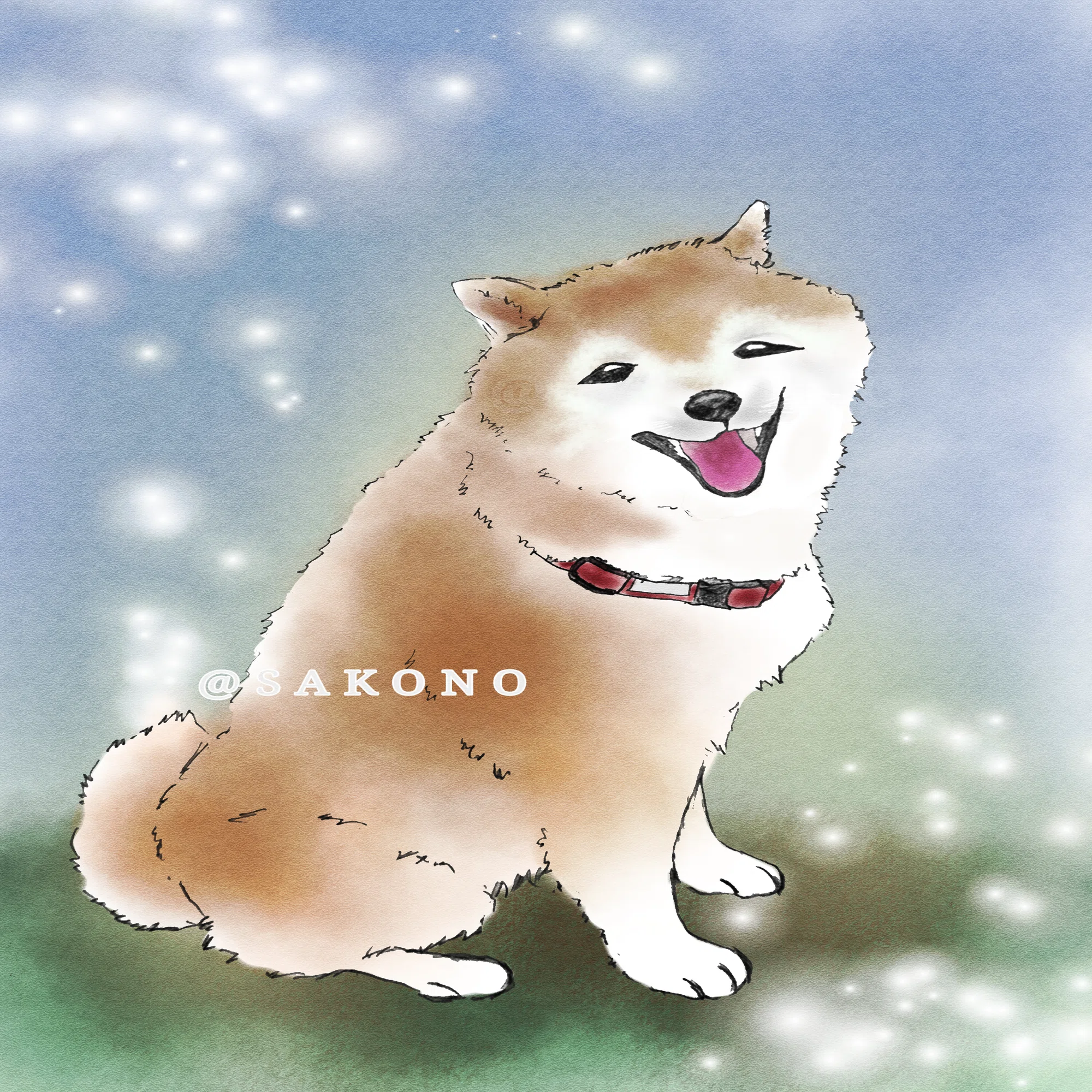 柴ちゃん｜さこの