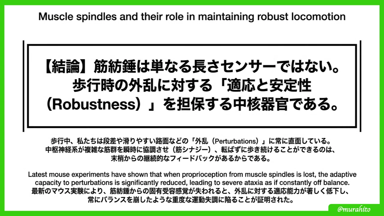 筋紡錘と腱器官の「生きた」知識～基礎から最新の臨床応用まで～｜むらひと