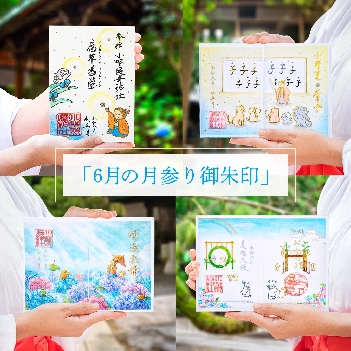 小野照崎神社 6月限定御朱印 (6月限定お纏め) 💧6月の月参り御朱印💧｜小野照崎神社