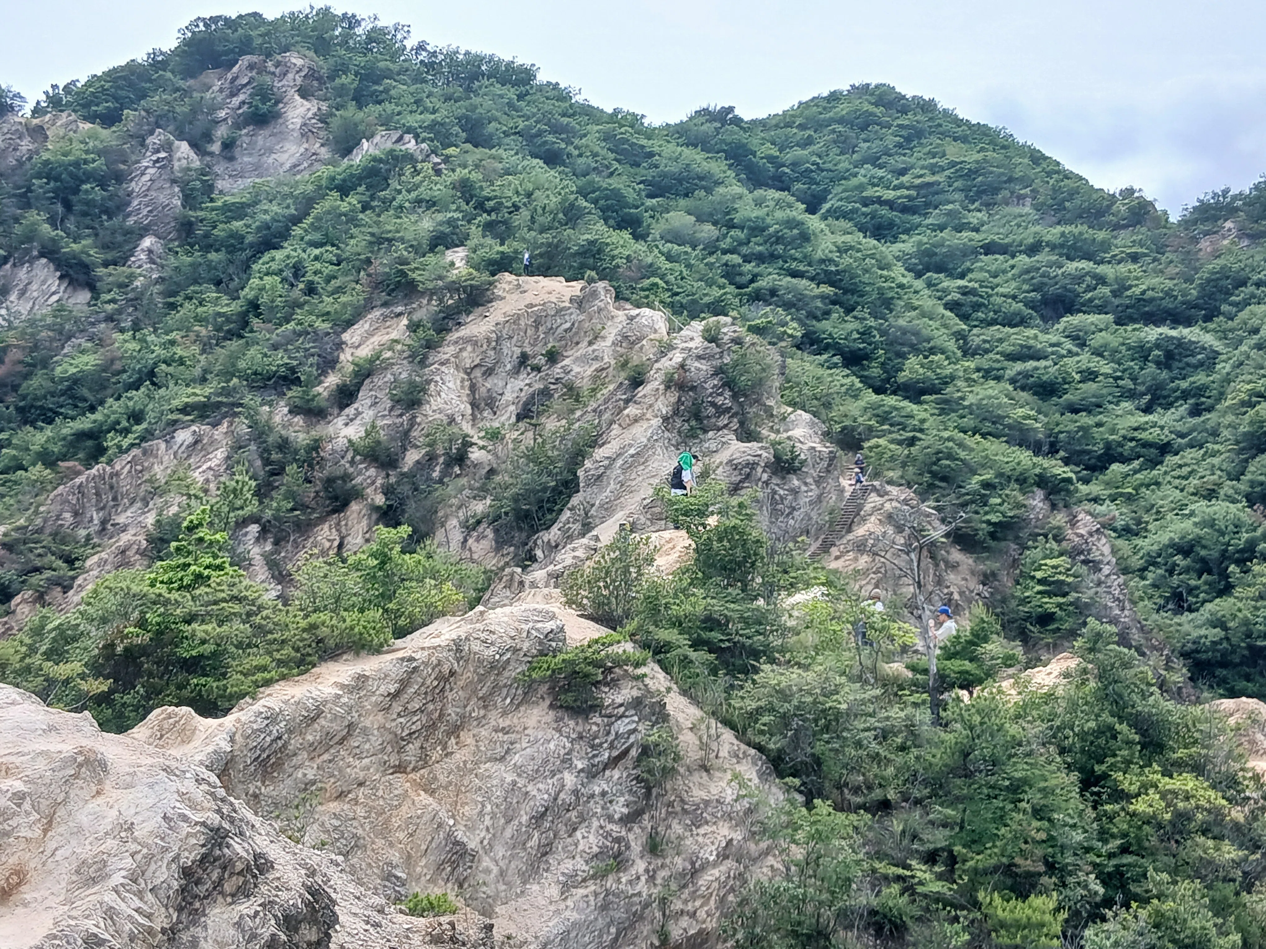 六甲山に登った話 36回目｜山ガラス