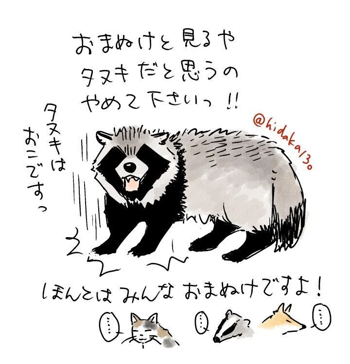 タヌキ実録と考察｜日高十三男