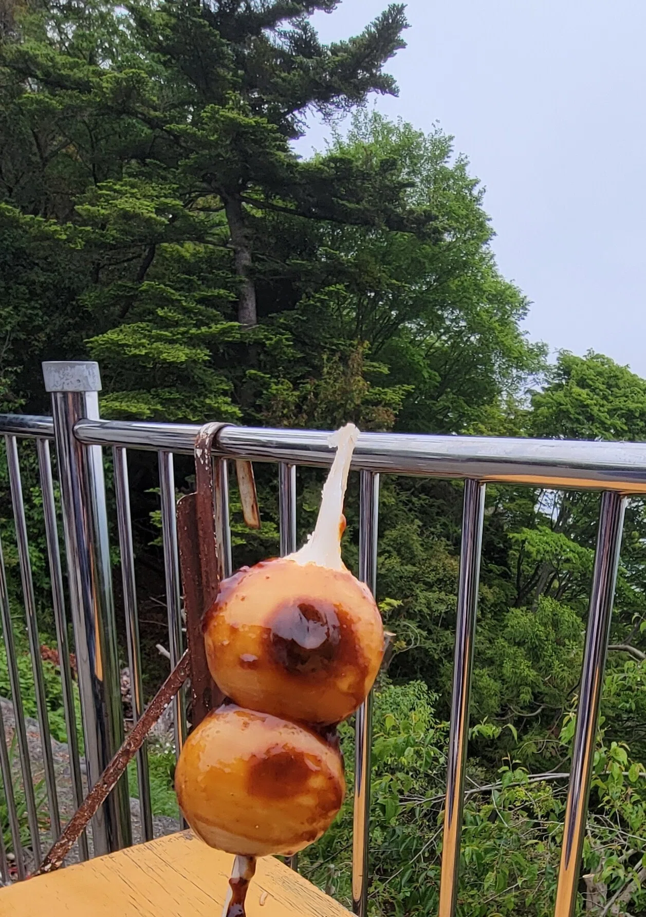 8歳お出かけ】高尾山にゴールデンウィーク小3と行ってきました｜にゃんこ