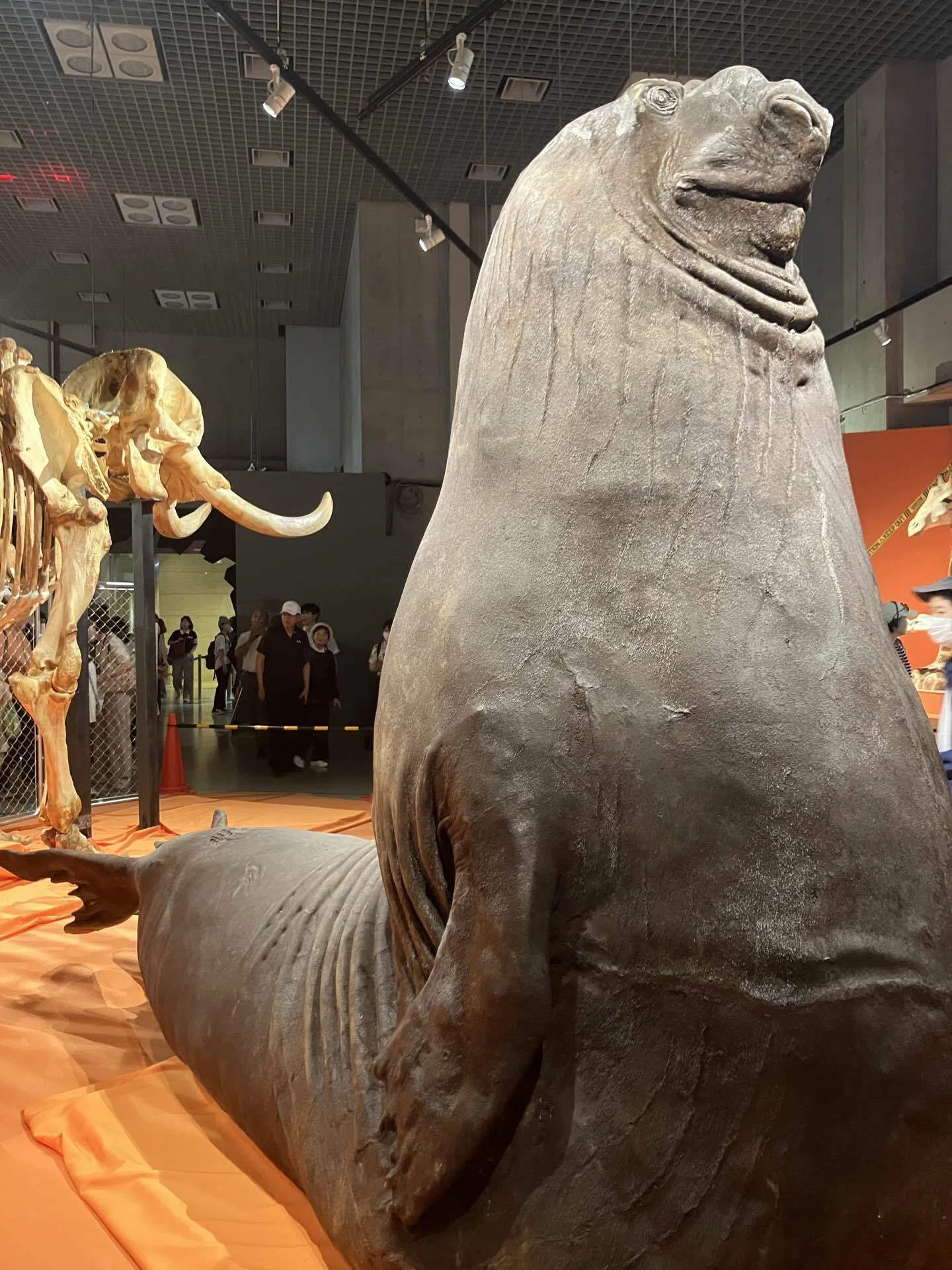 超危険生物展with母｜ダリッタ