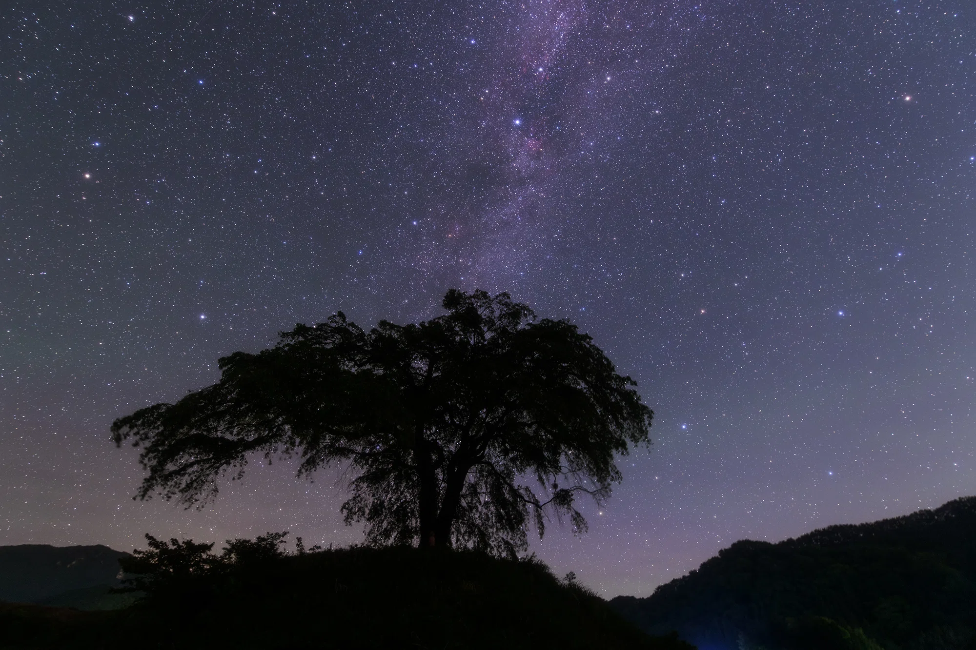 写真が撮れない夜は、過去の5月をのぞいてみる｜星空写真家 × 会社役員