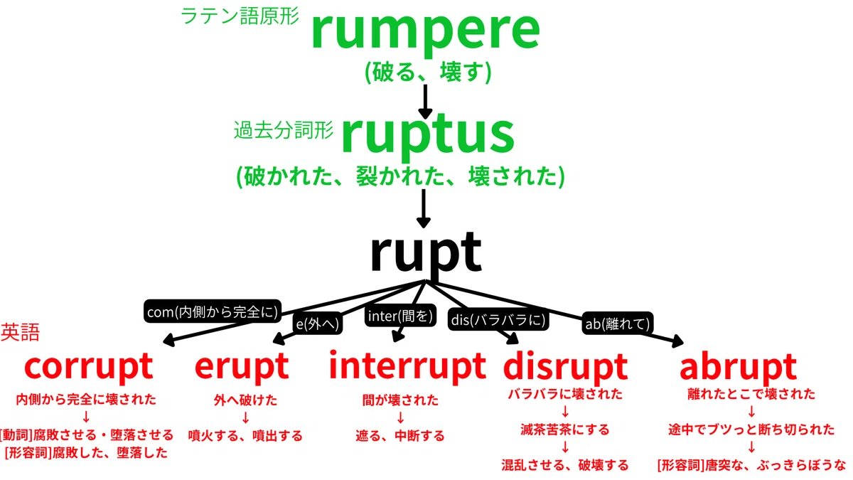 Etymology of '-rupt' Verbs [Summary]｜Mr.Q/English深掘り