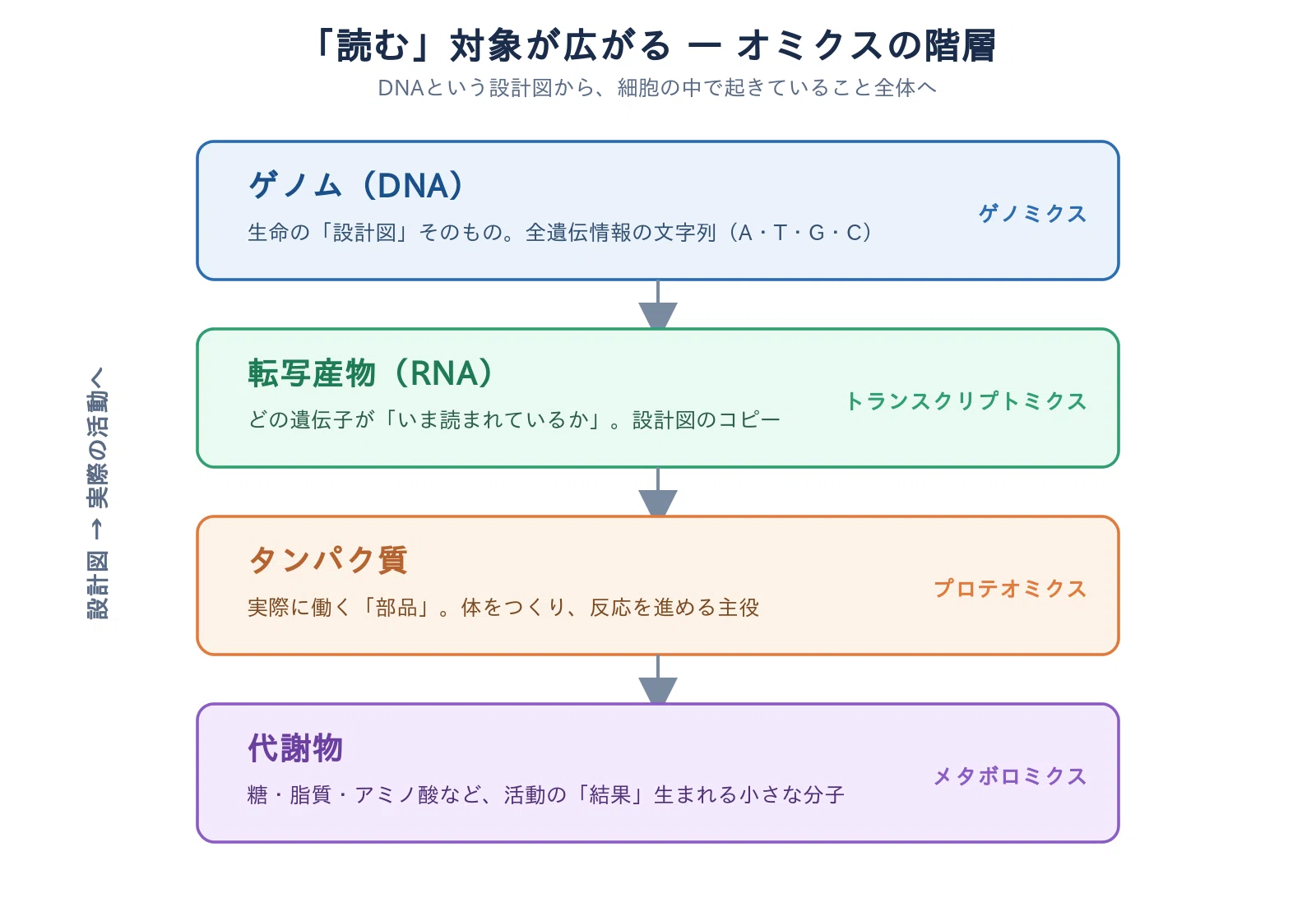 ゲノムを「読む」時代がやってきた｜山口昌雄｜ライフサイエンス × AI