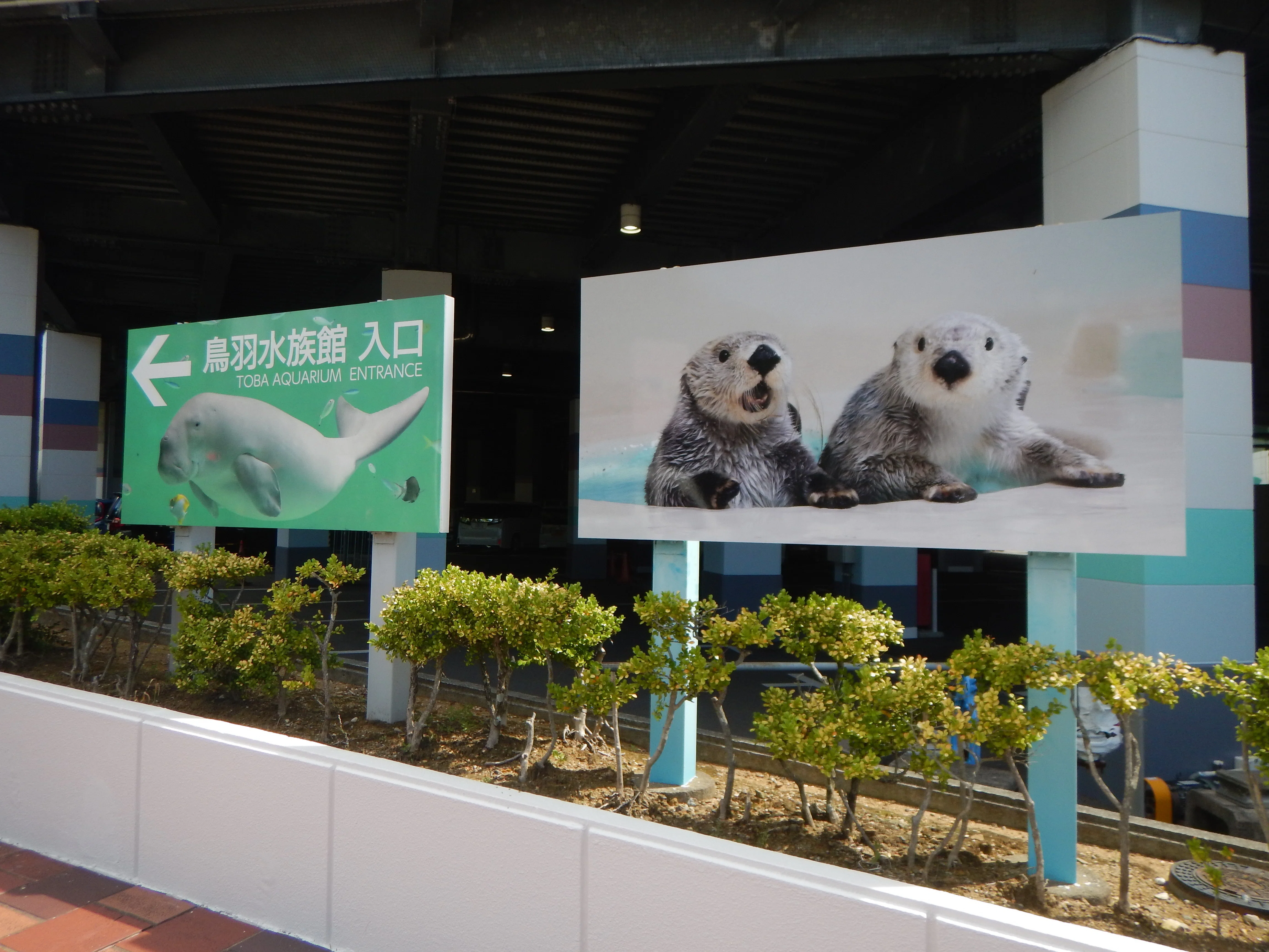 2026初夏 鳥羽水族館｜保育士みっちゃん