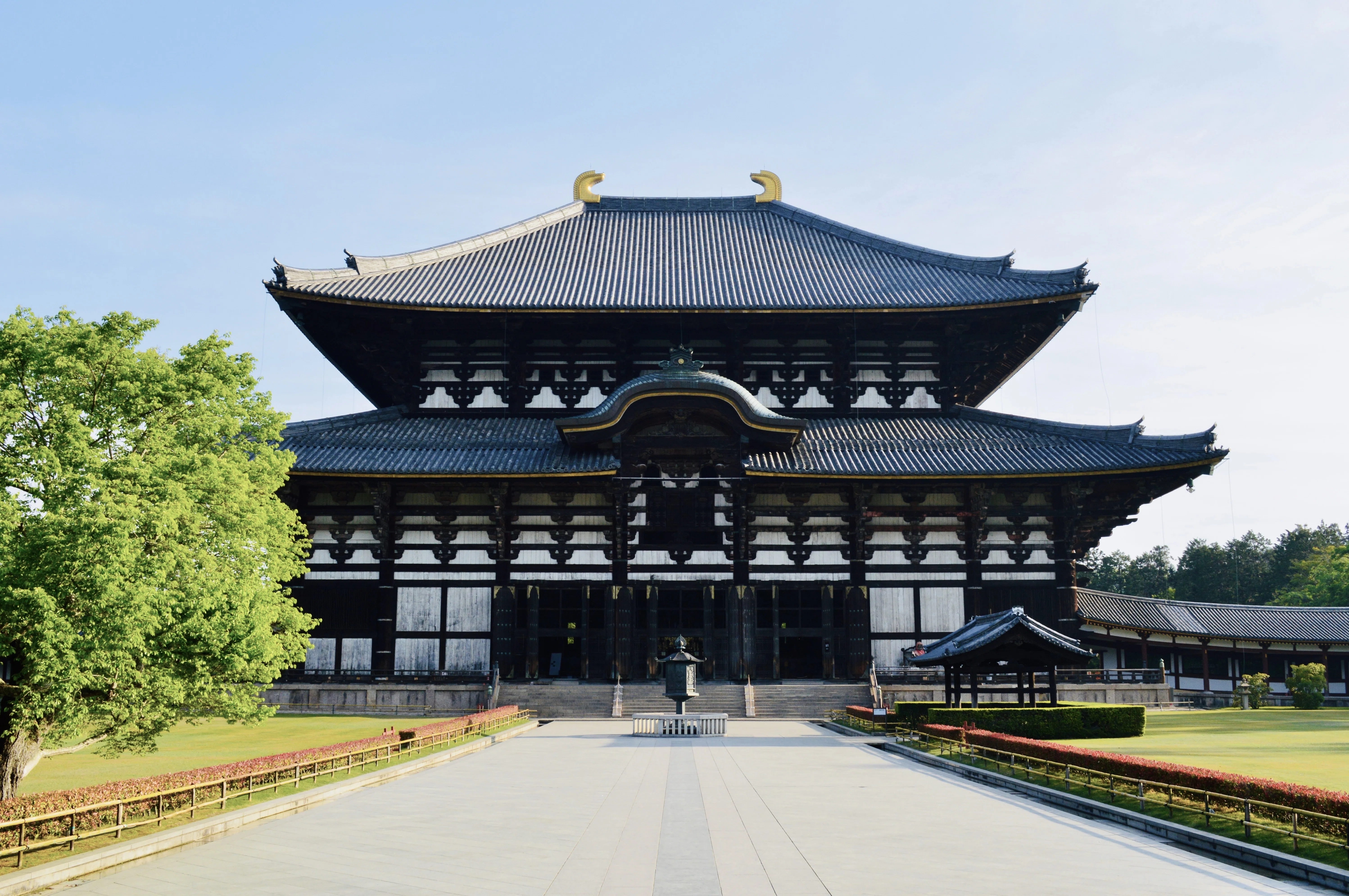 国家の願いが生んだ奇跡｜世界最大級の木造建築と奈良の大仏【東大寺
