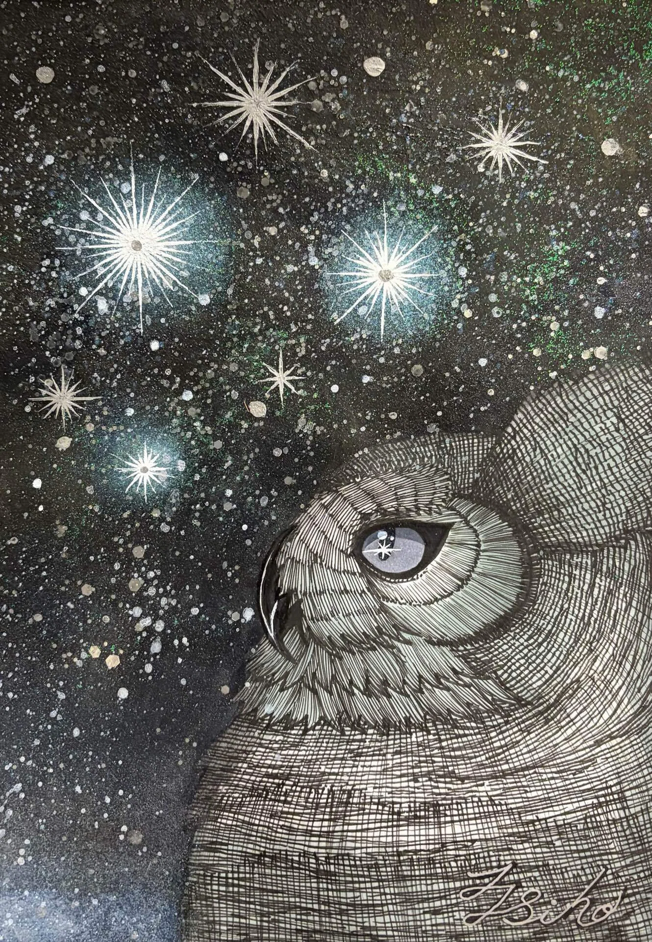 今日の二枚✨｜フクロウシホ