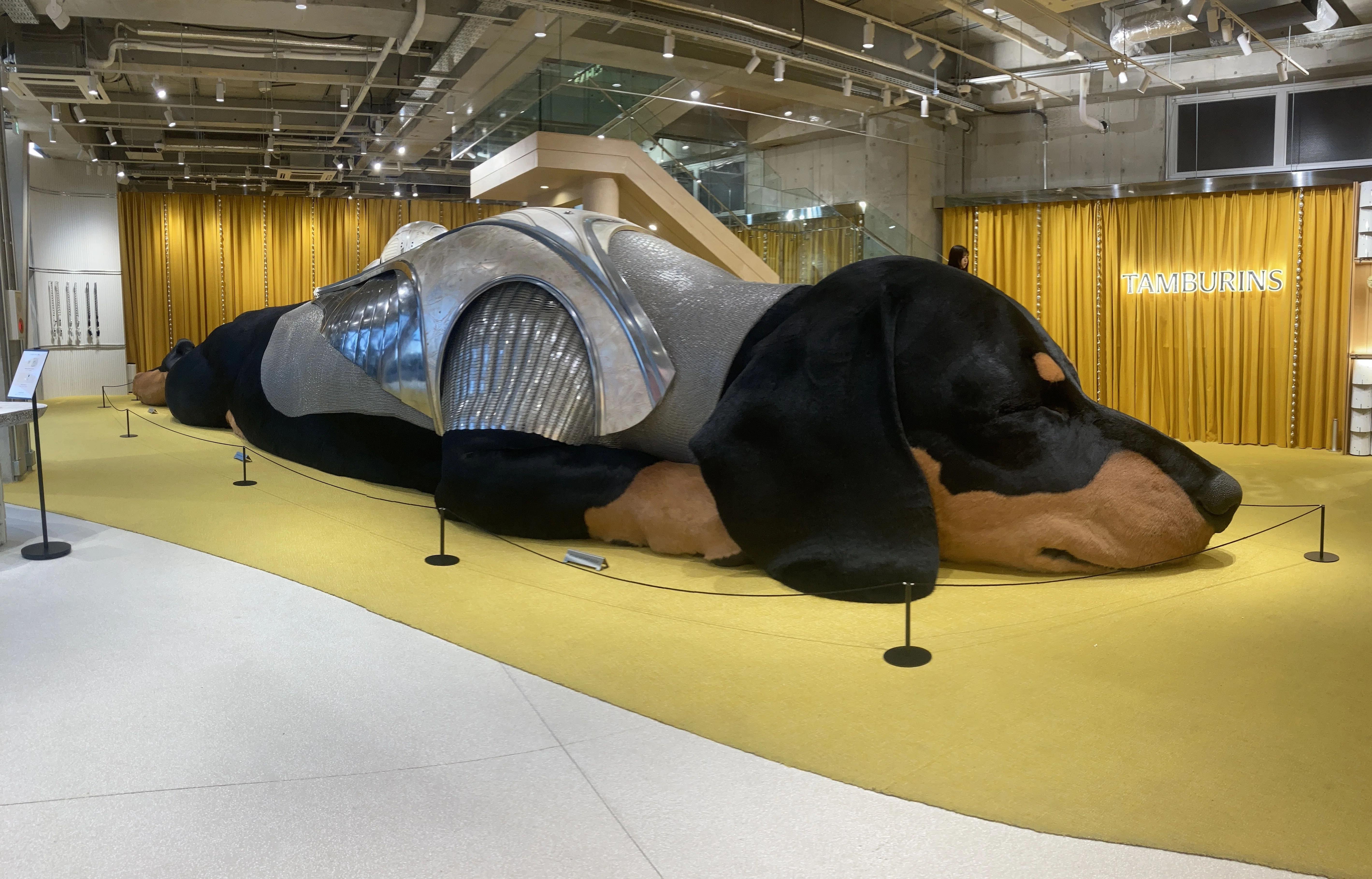 貴婦人と仔犬　時代物 人生ベストテン／代官山のマジで巨大な犬を見に行く・他（2026年5月30