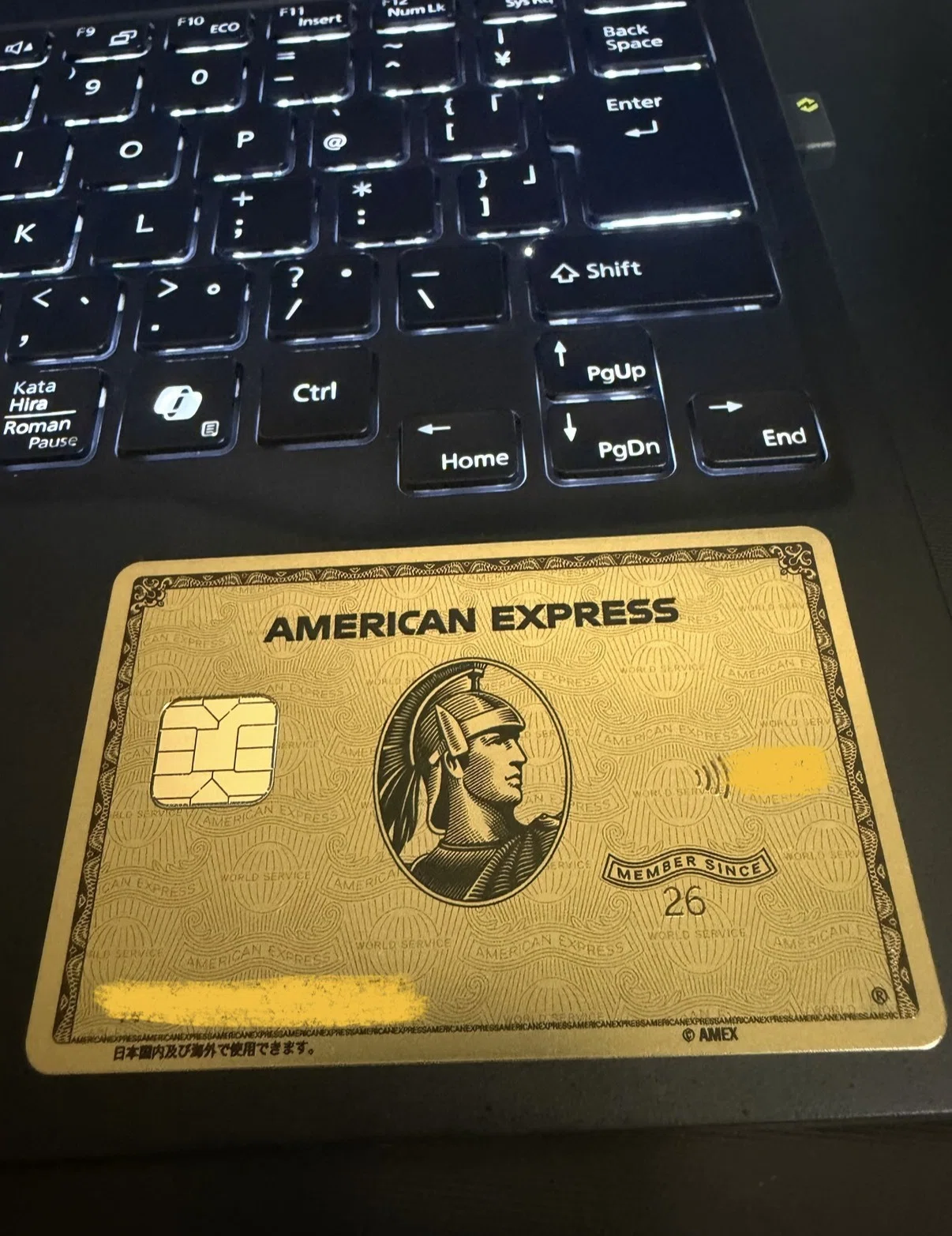 現役大学生】アメックス・ゴールド・プリファードのメタルカードで世界