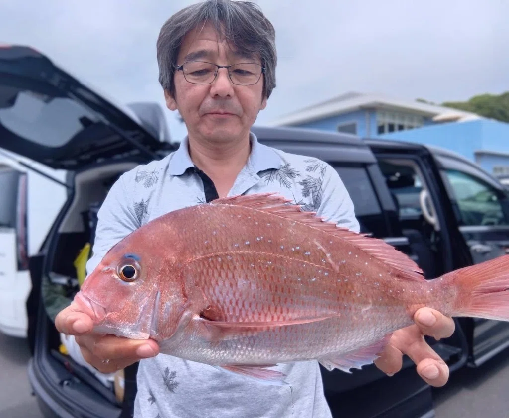 泳がせ】大型ワラサ5.1kg、さらに4kg！【真鯛】大型真鯛3kgをゲット