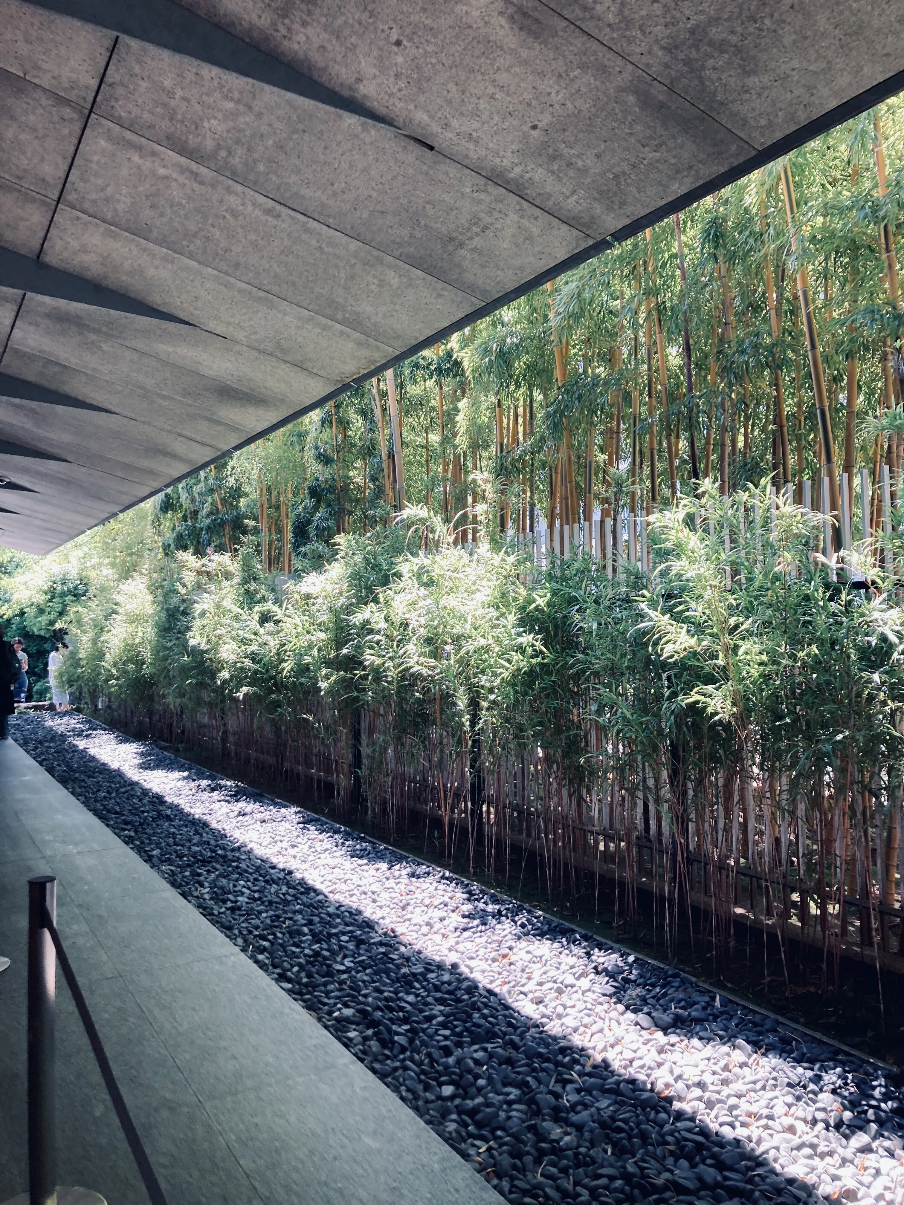 和の庭園、根津美術館を歩く ＊ 美術館さんぽ｜こここ