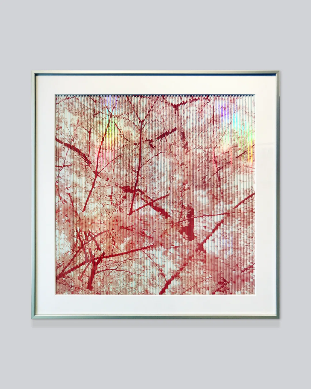 光」を額装する | 『間』に浮かぶ虹---久保田友理子 個展《Beyond the