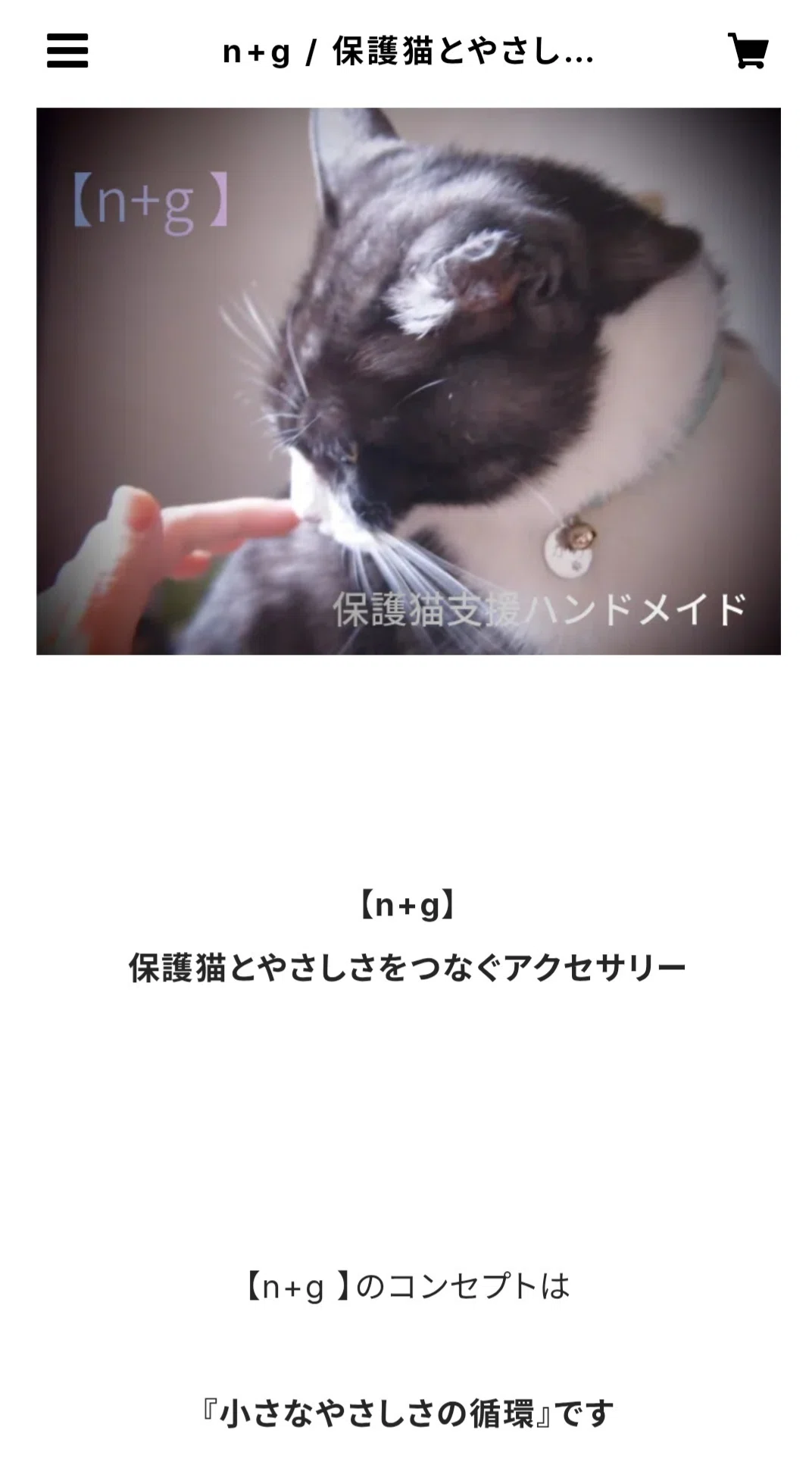 n+g 】始動6月1日にしました🐾｜『がりとわたし』-元地域猫との日々と