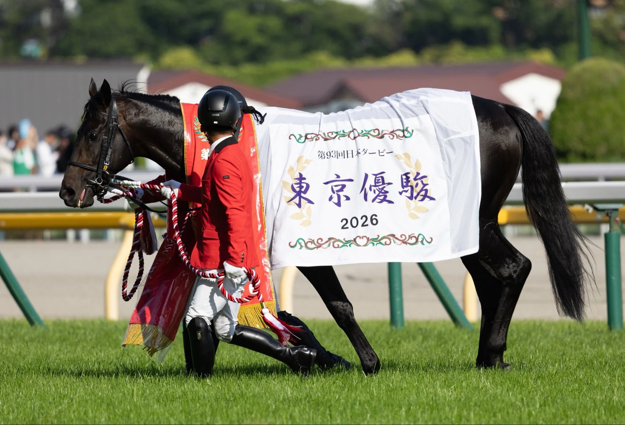東京優駿～日本ダービー（GⅠ）回顧】推奨馬ロブチェン優勝!! ～ゲット