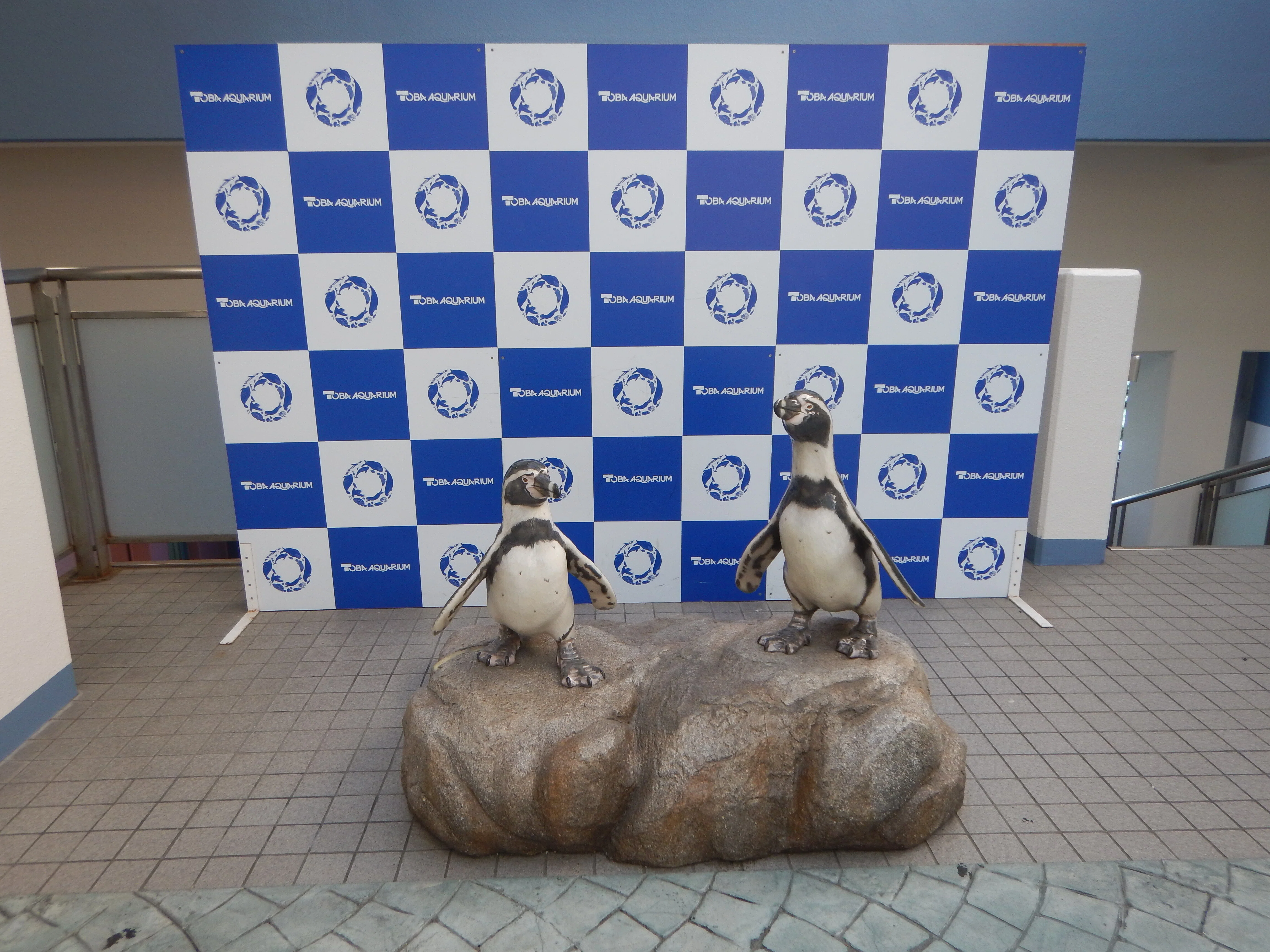 2026初夏 鳥羽水族館｜保育士みっちゃん