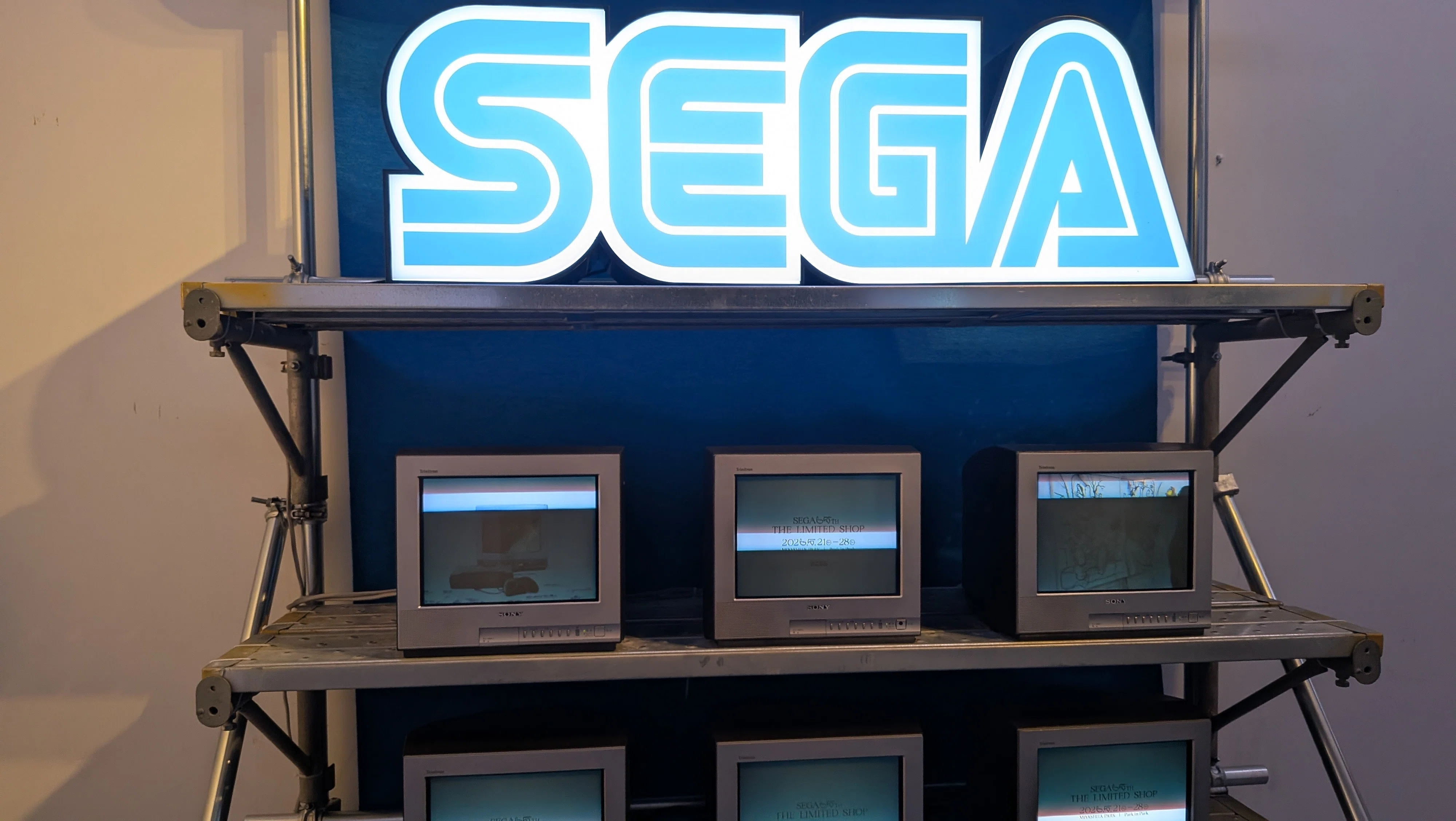 31/ 渋谷らしいアート空間 SEGA 65th LIMITED SHOP へ行ってきた｜ライム