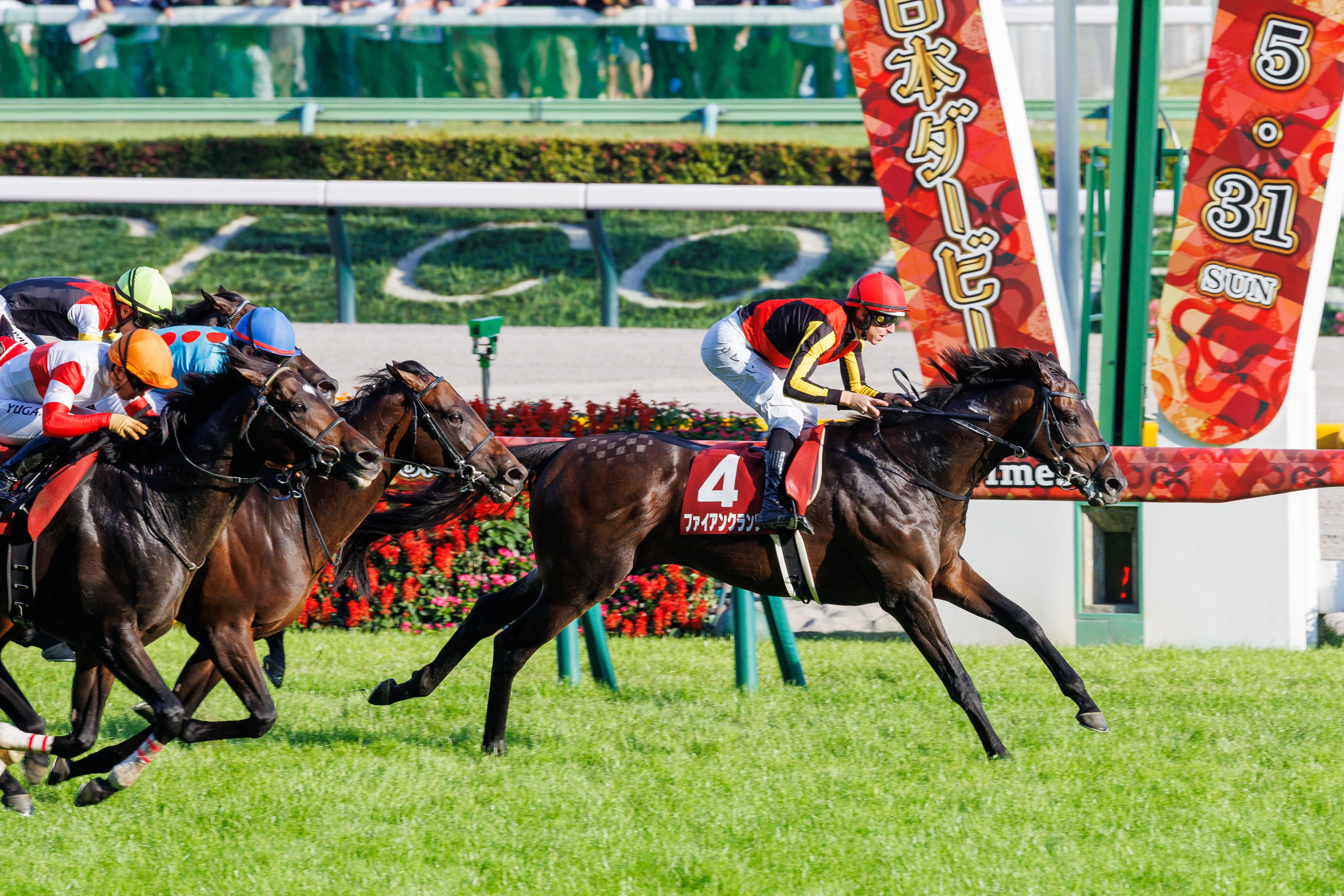 目黒記念（GⅡ）回顧】推奨馬ウィクトルウェルス2着!! ～ゲット…(>_