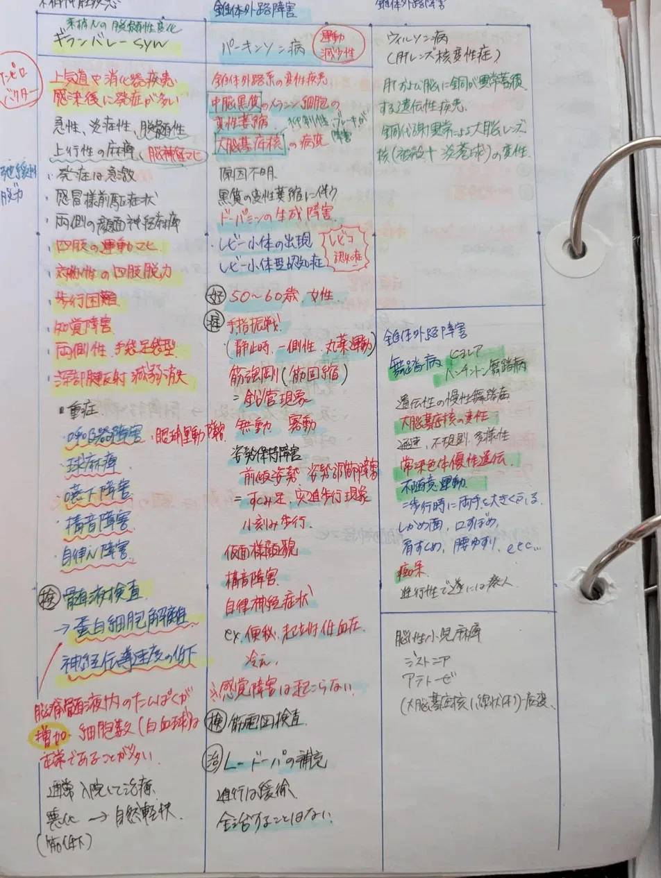 国家試験、どう勉強した？ 鍼灸師の私が本番前までにやったこと